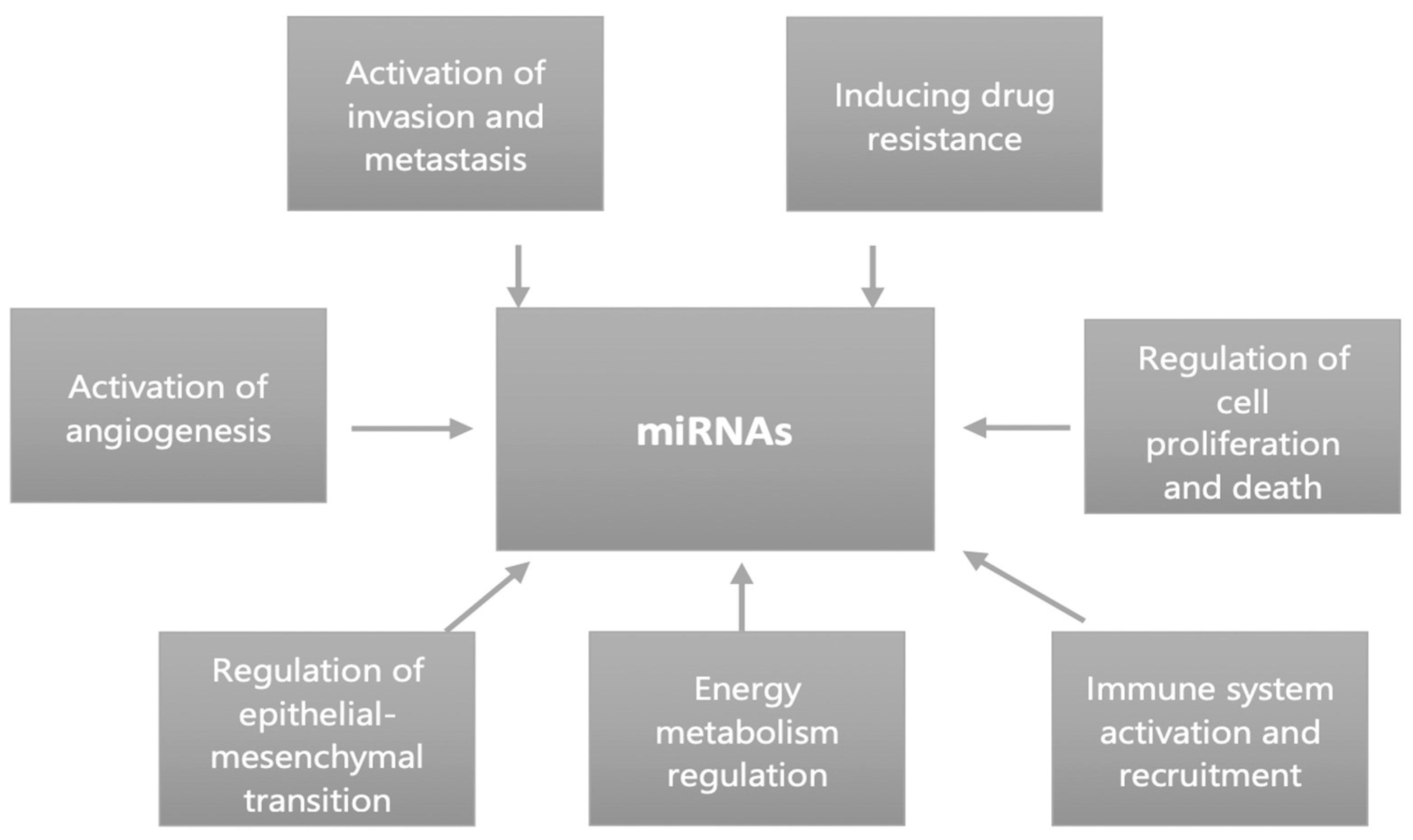 Applsci 13 00275 g001 Applsci 13 00275 g001