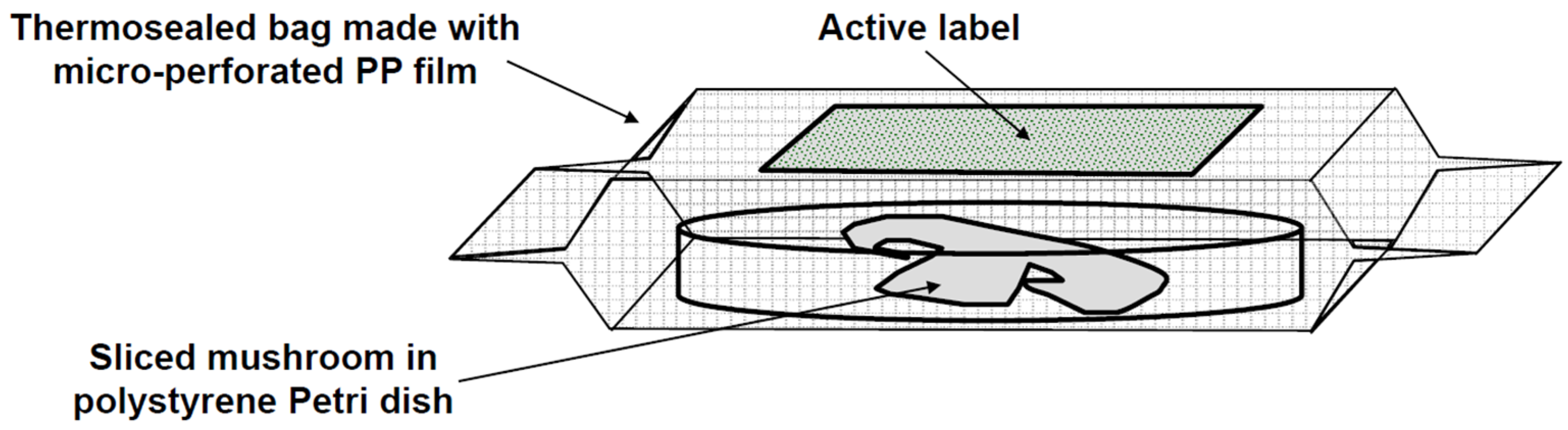 Applsci 13 00301 g001 Applsci 13 00301 g001