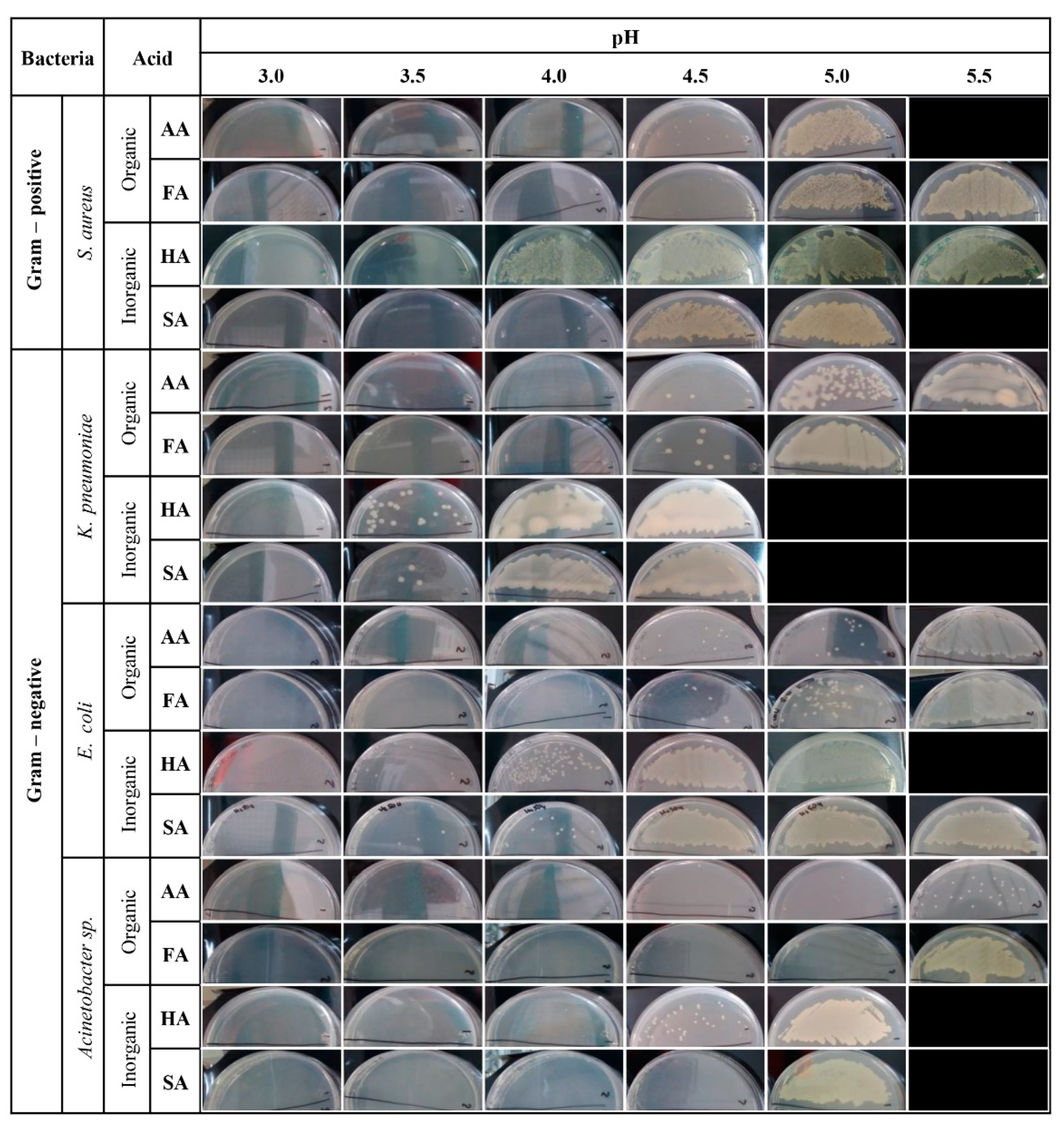 Applsci 13 00305 g002