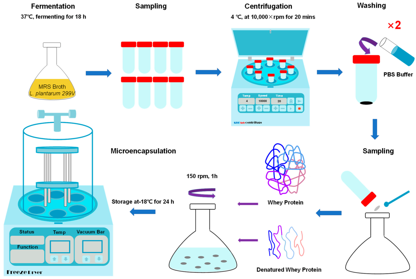 Applsci 13 00318 g001 Applsci 13 00318 g001