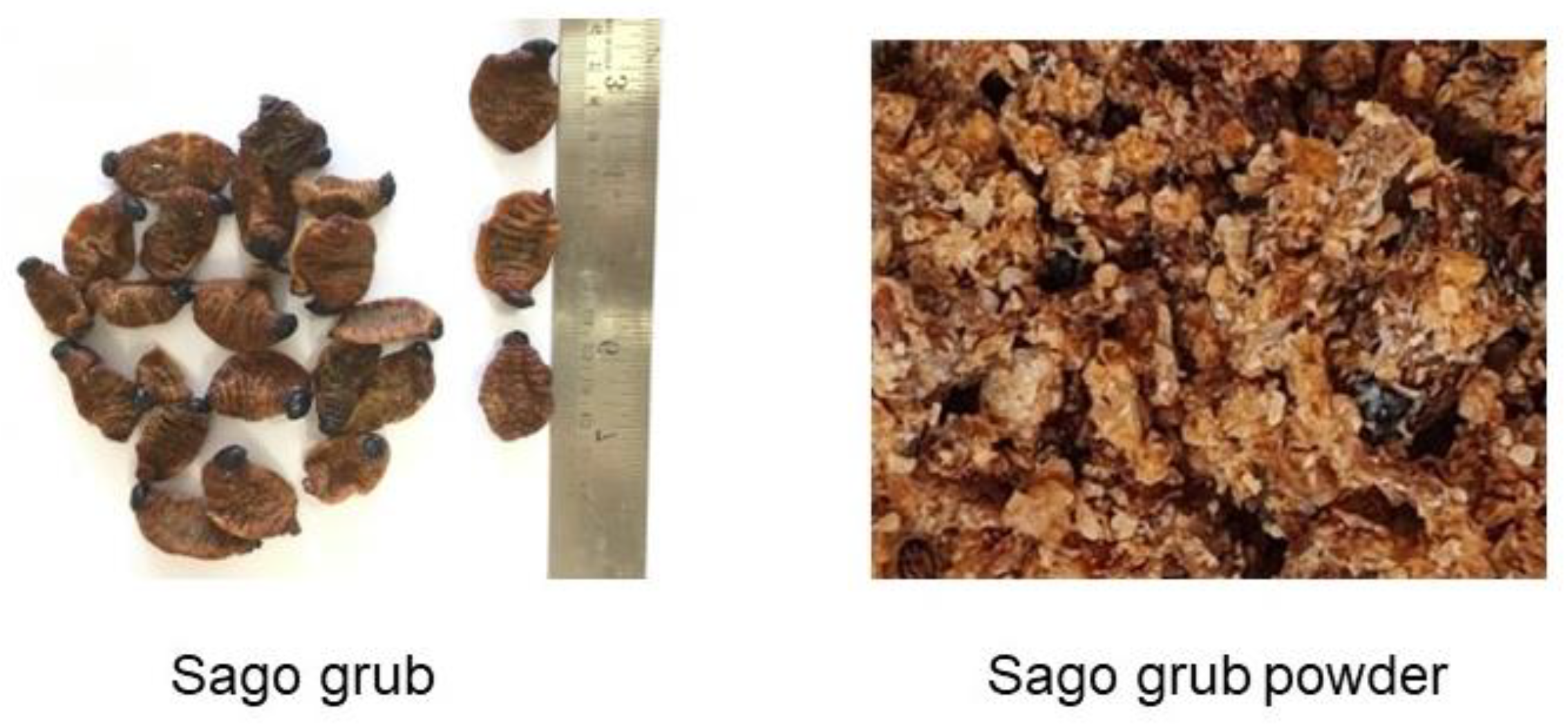 Applied Sciences Free Full-Text Fatty Acid Profile, Mineral Composition, and Health Implications of Consuming Dried Sago Grubs (Rhynchophorus ferrugineus) image picture