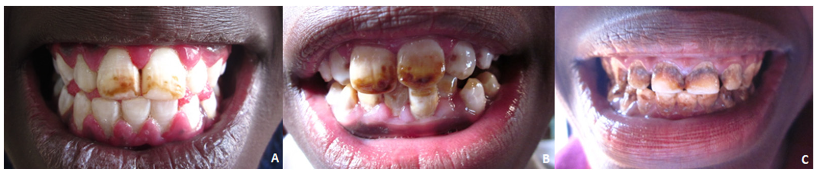 Applsci 13 00368 g001