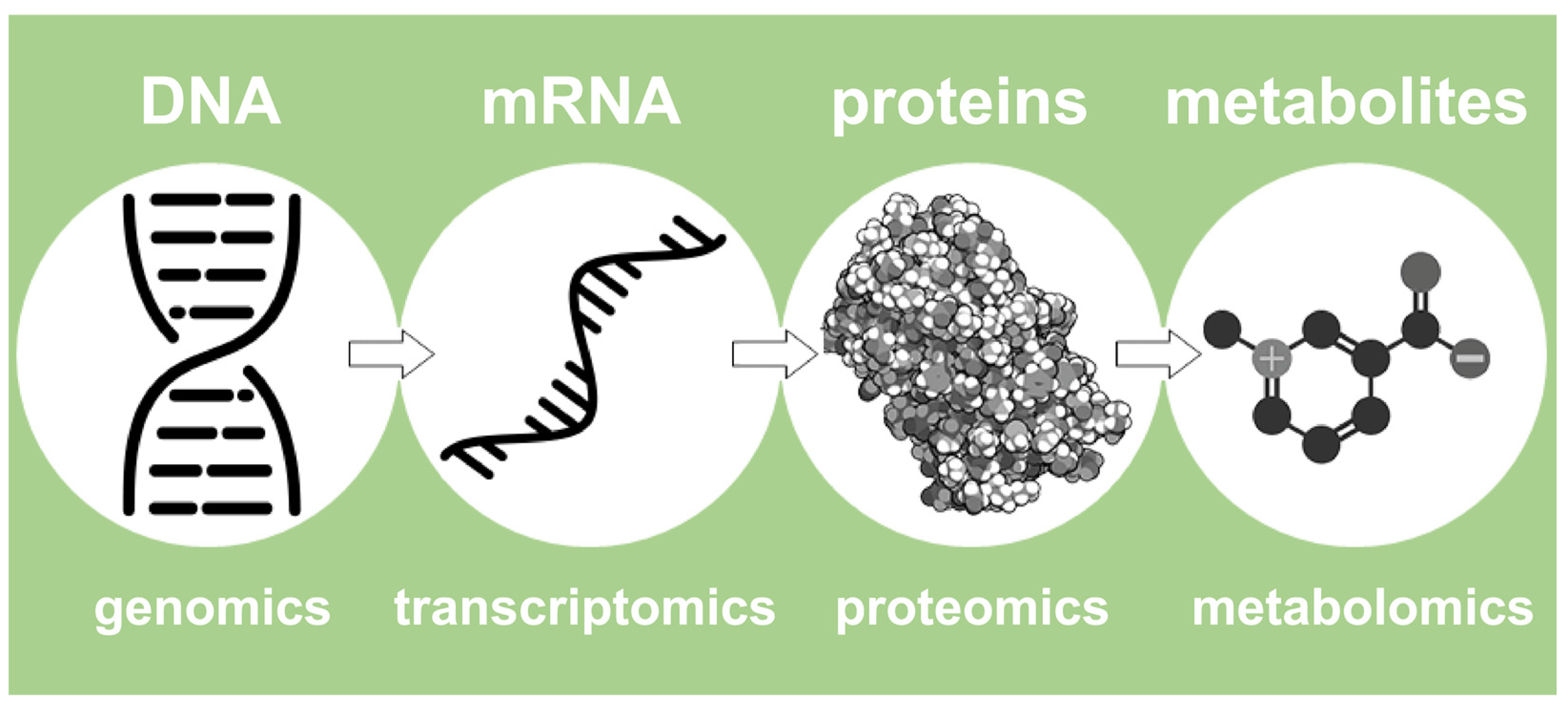 Applsci 13 00372 g002