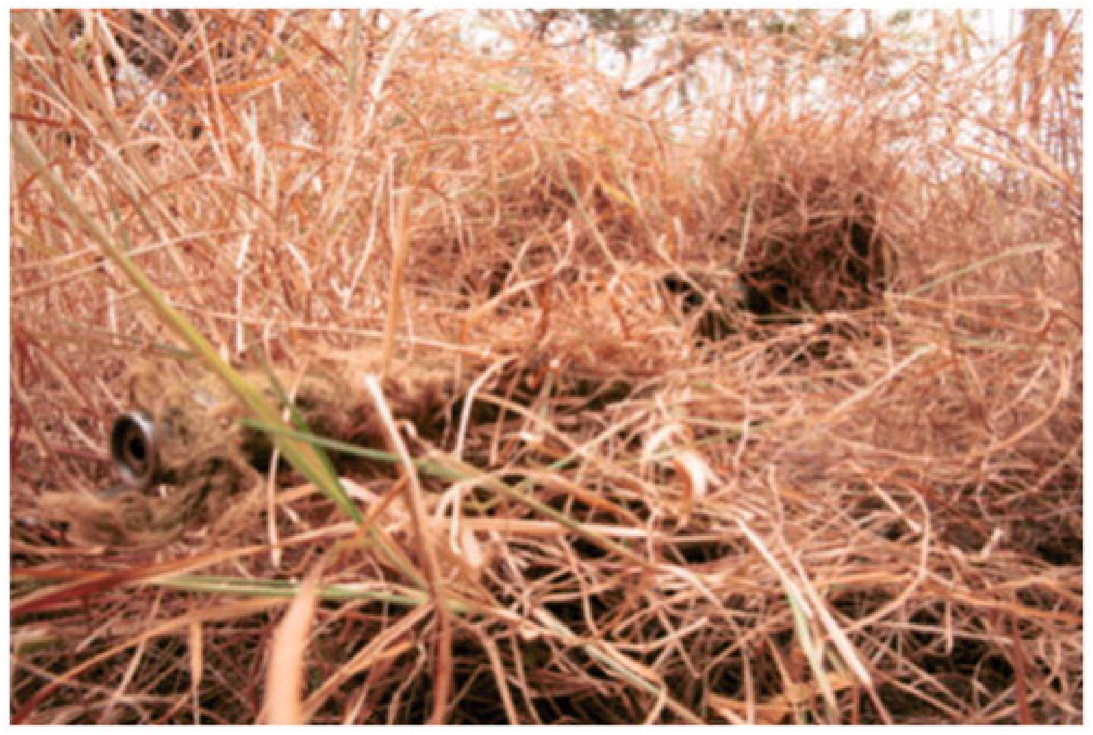 Applsci 13 00403 g002