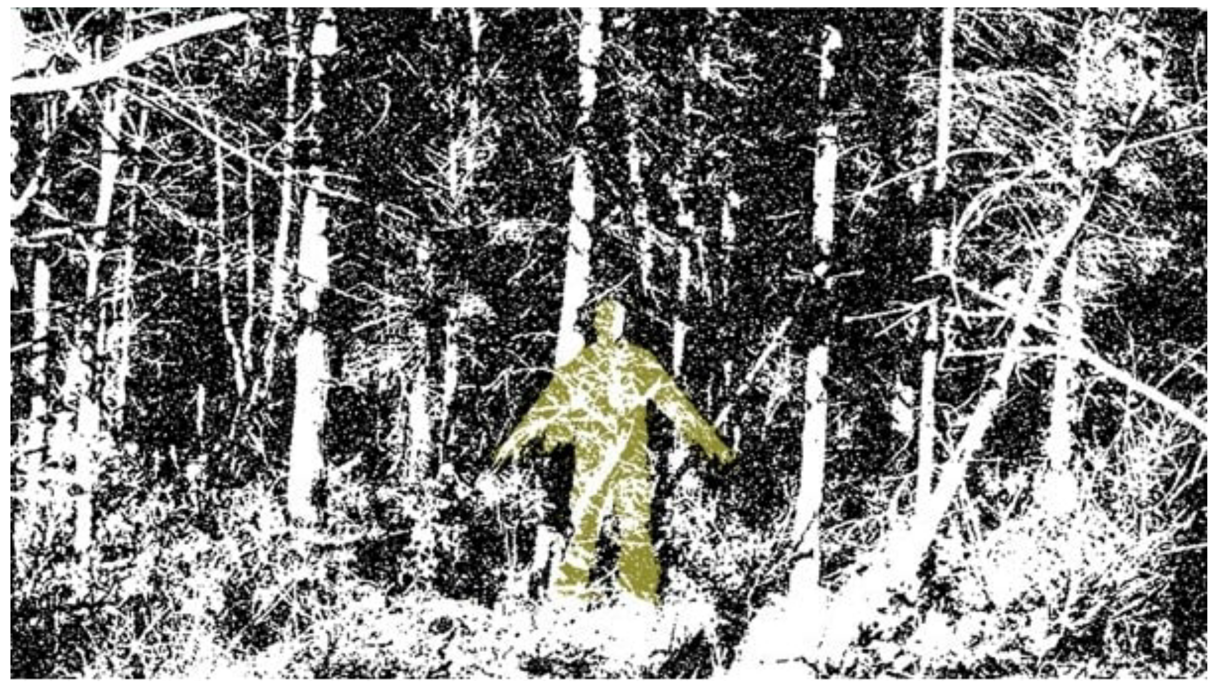 Applsci 13 00403 g005