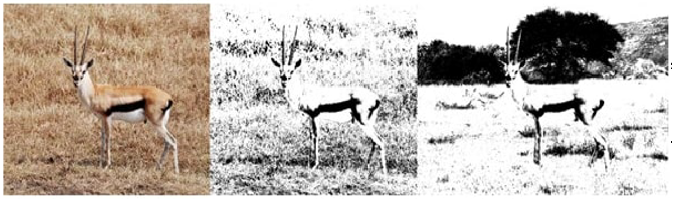 Applsci 13 00403 g007