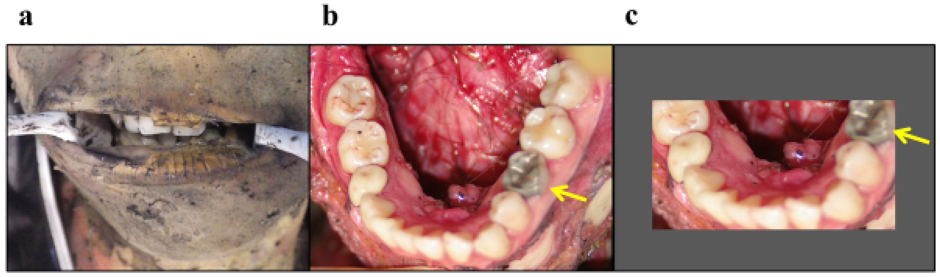 Applsci 13 00461 g004 Applsci 13 00461 g004