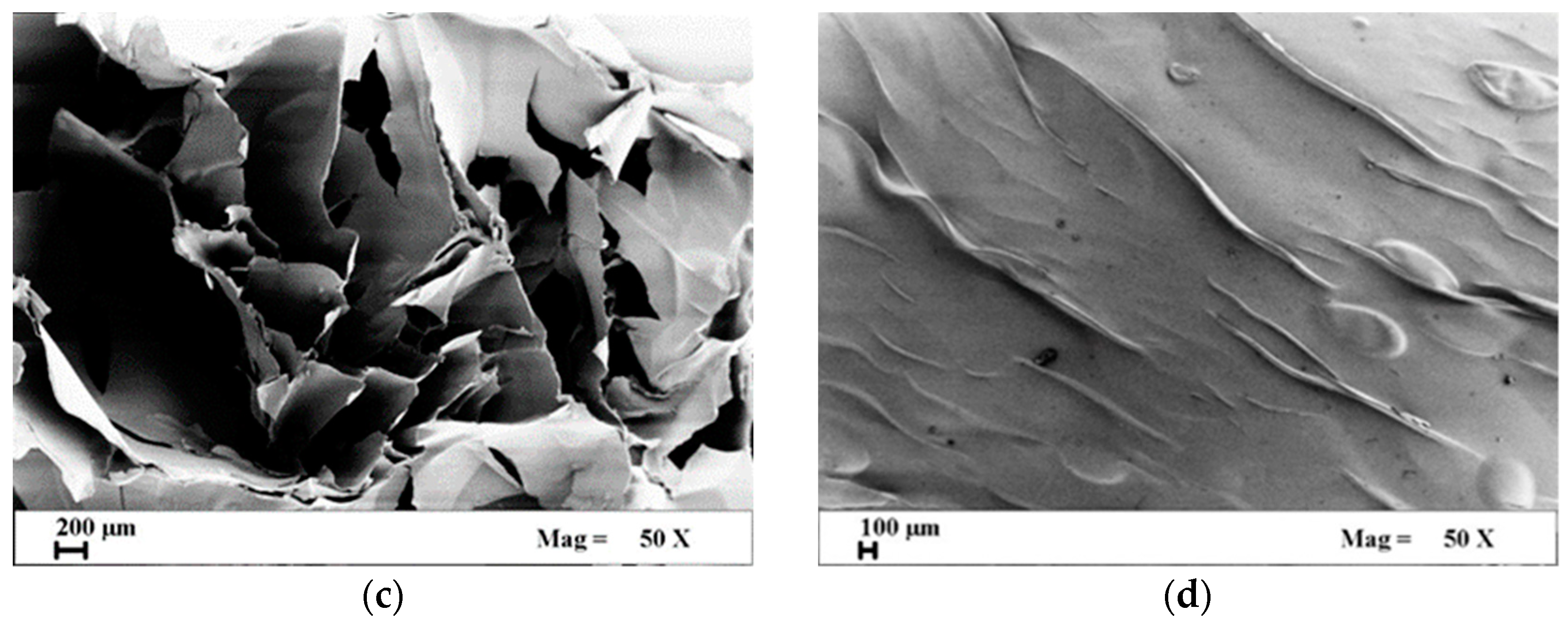 Applsci 13 00463 g002b 550