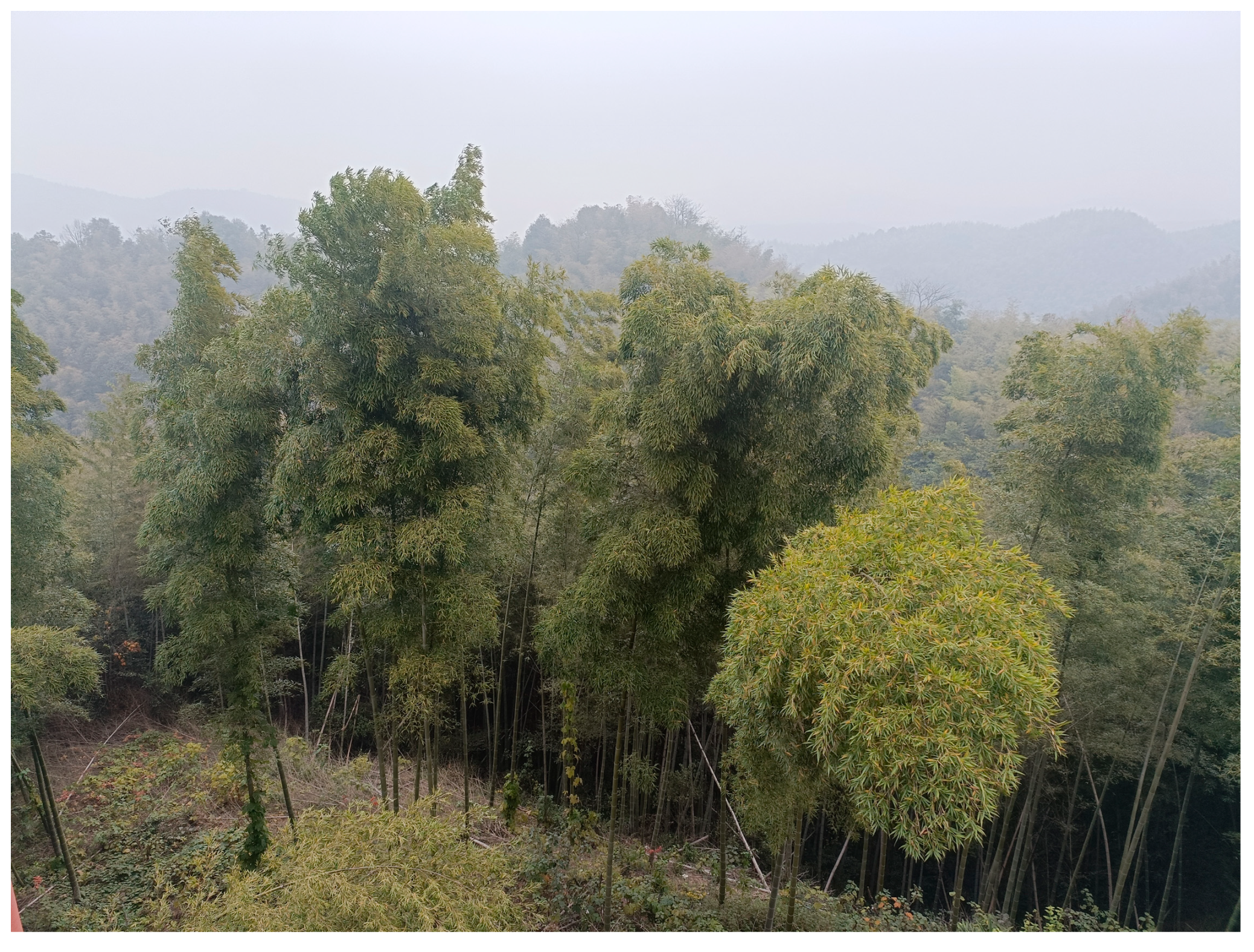 Applsci 13 00470 g001 Applsci 13 00470 g001