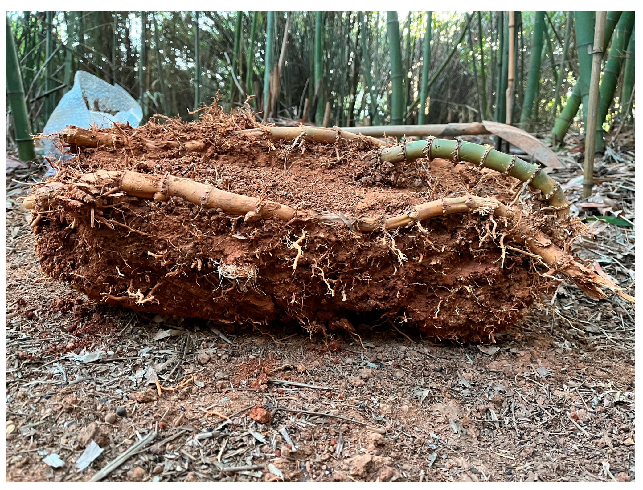 Applsci 13 00470 g002 Applsci 13 00470 g002