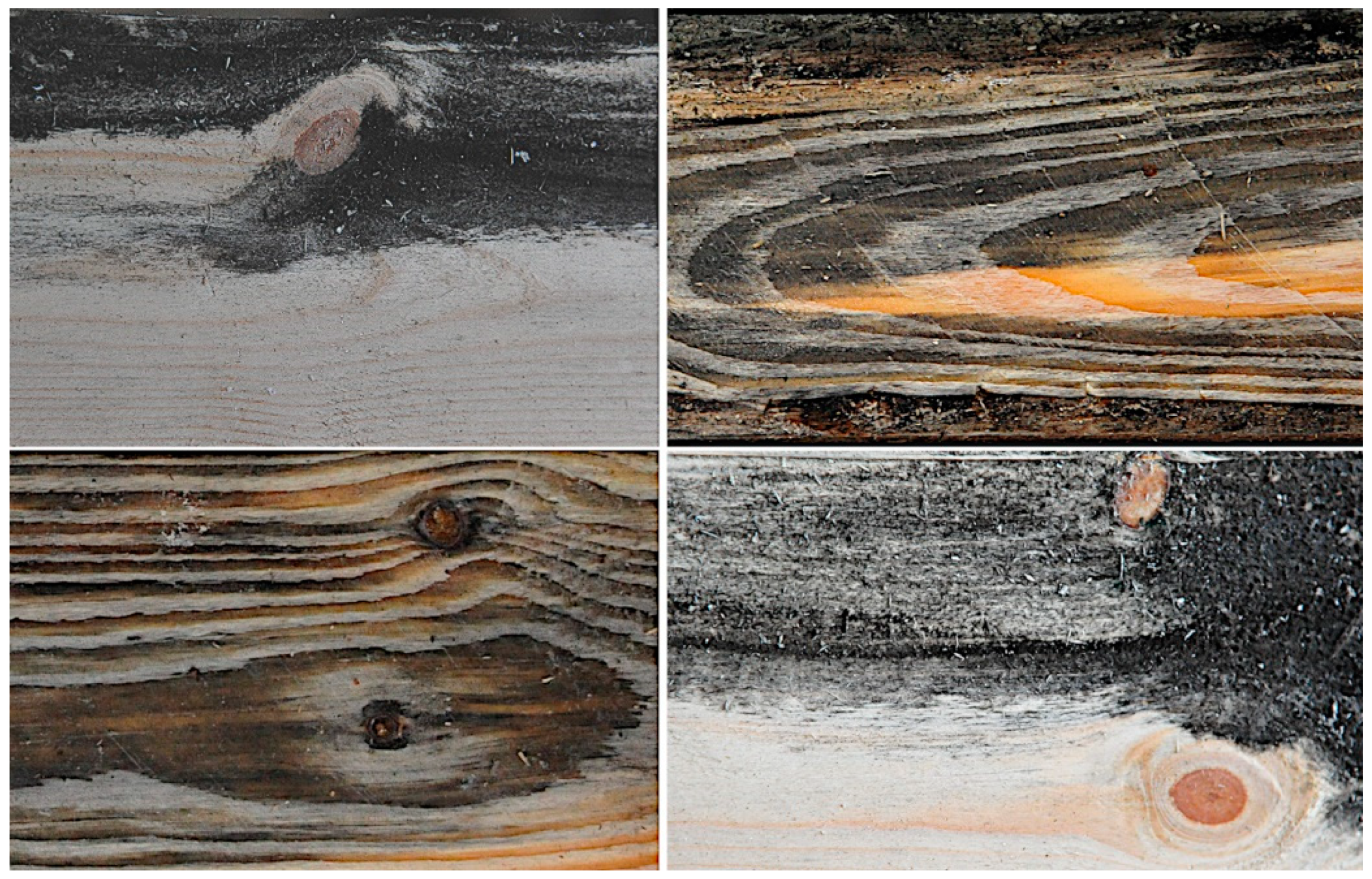 Applsci 13 00490 g001