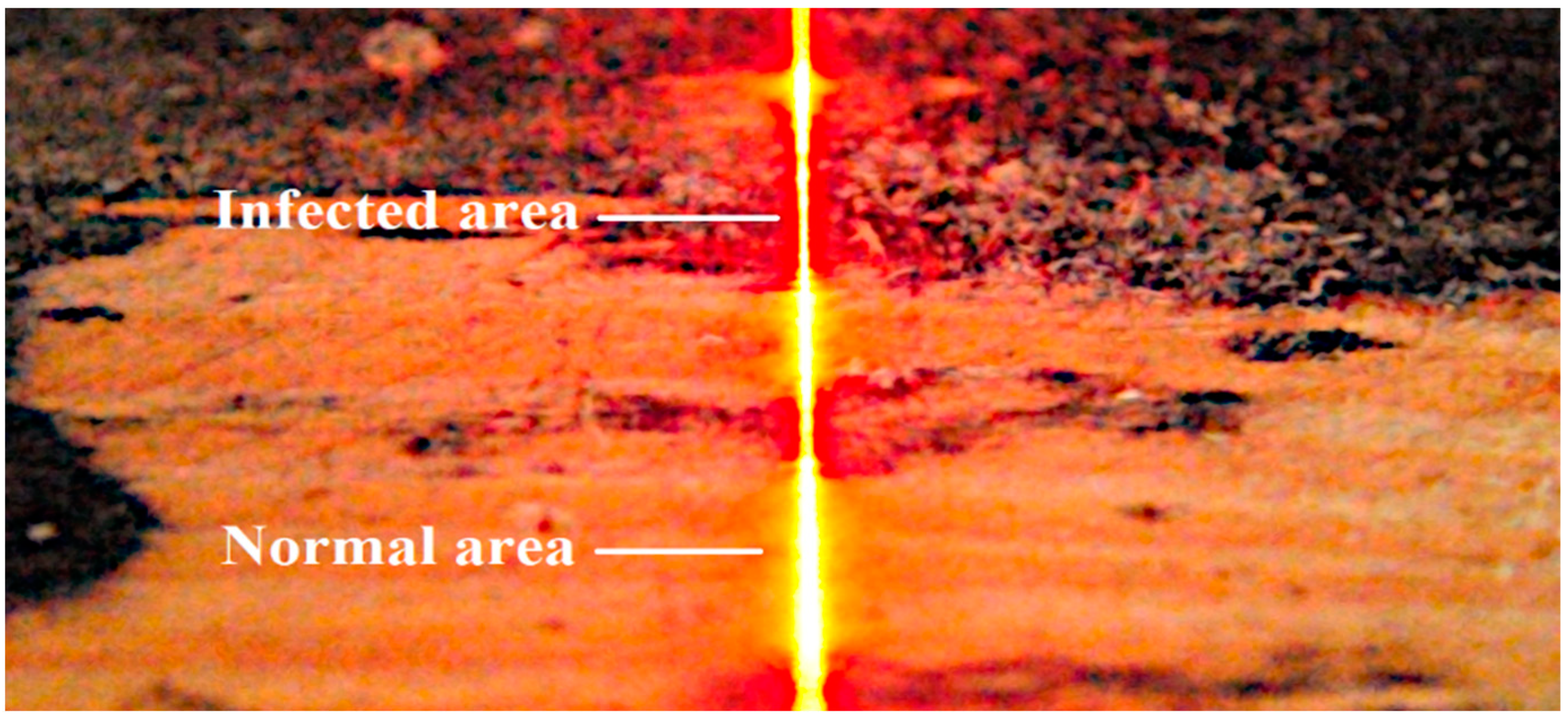 Applsci 13 00490 g007