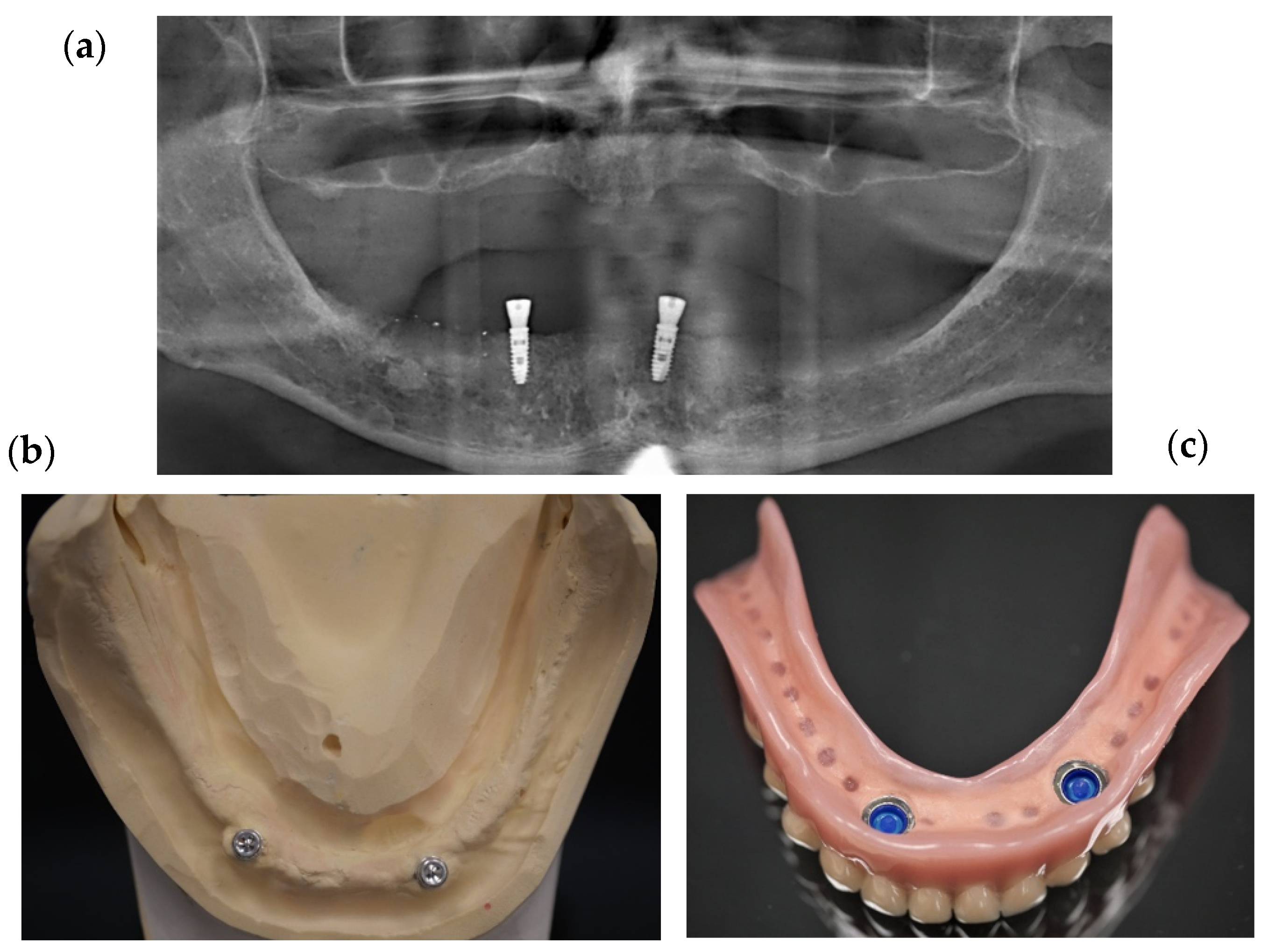 Applsci 13 00491 g001