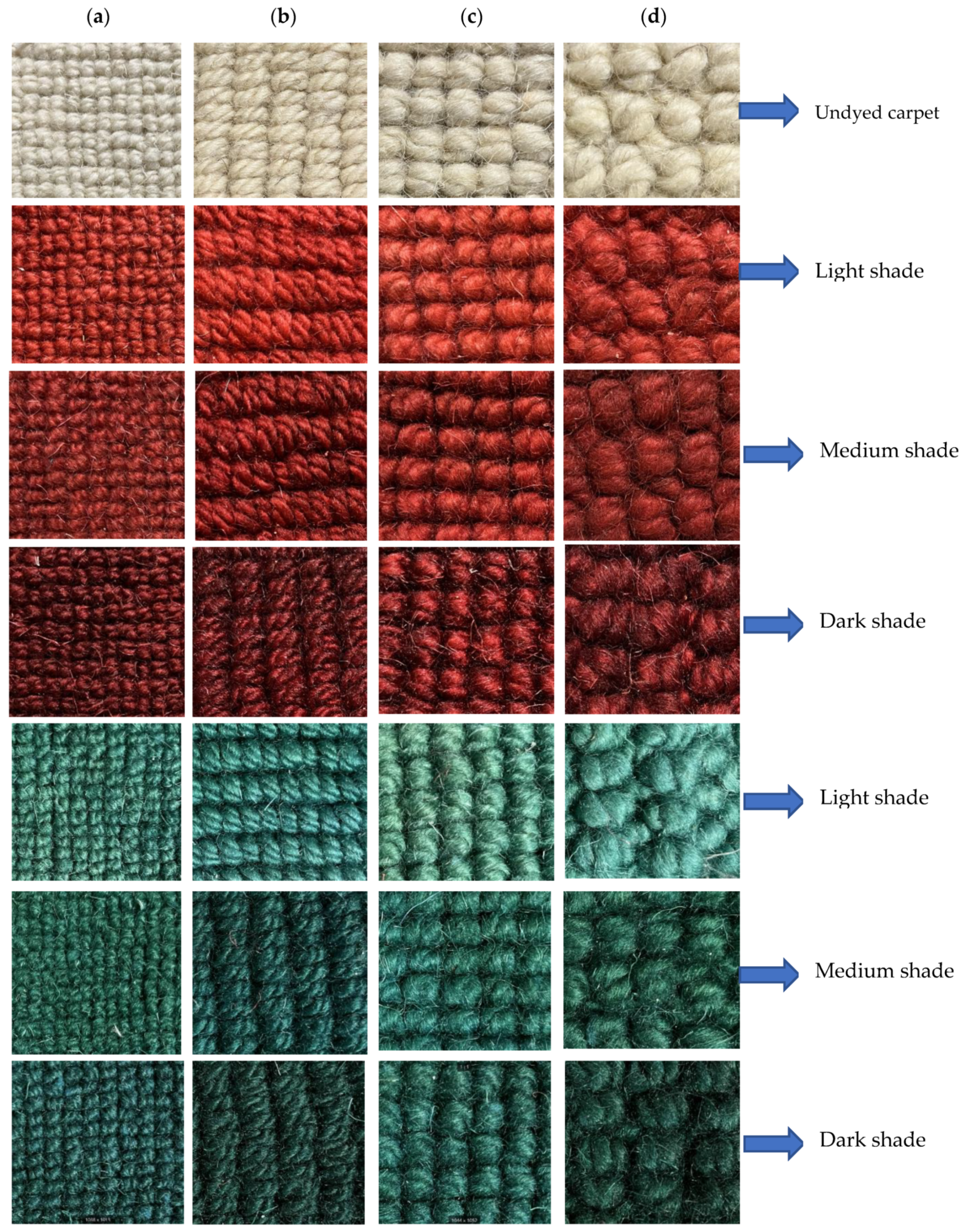 Applsci 13 00500 g001