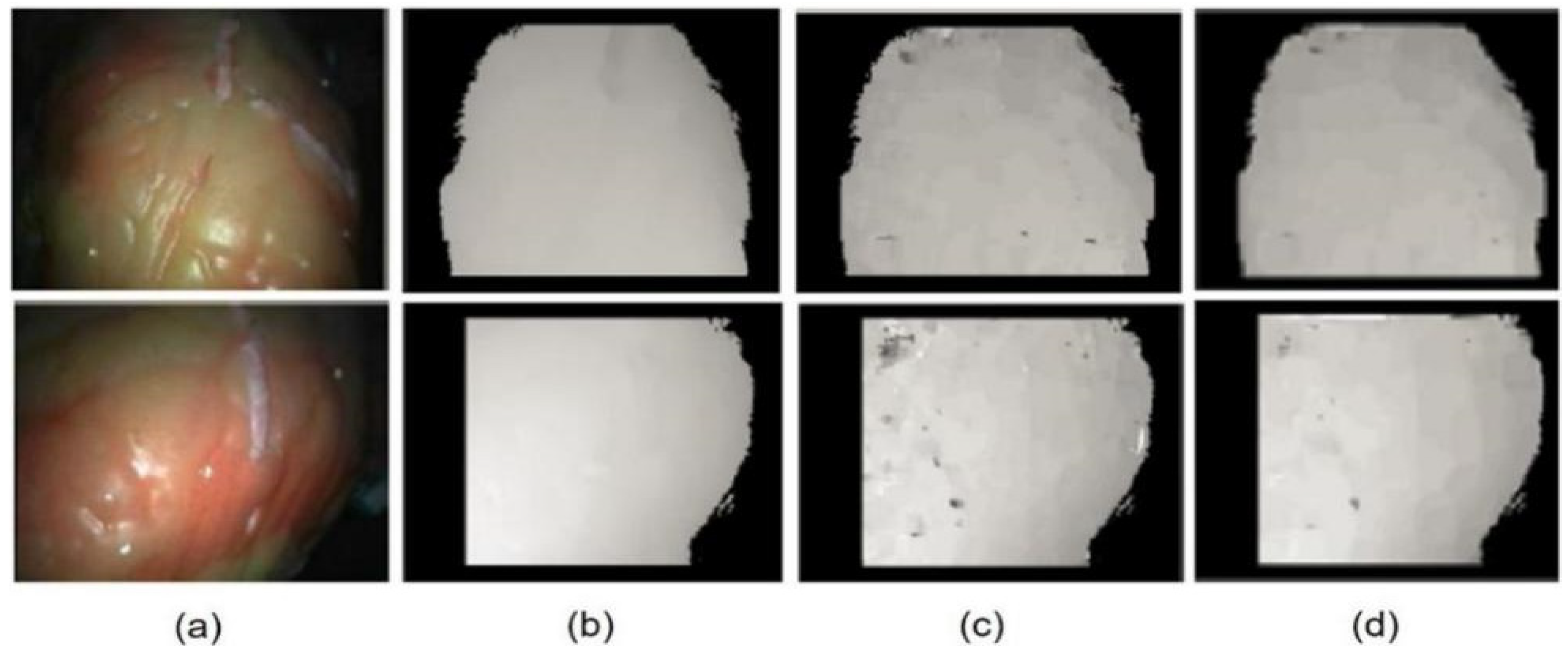 Applsci 13 00514 g005