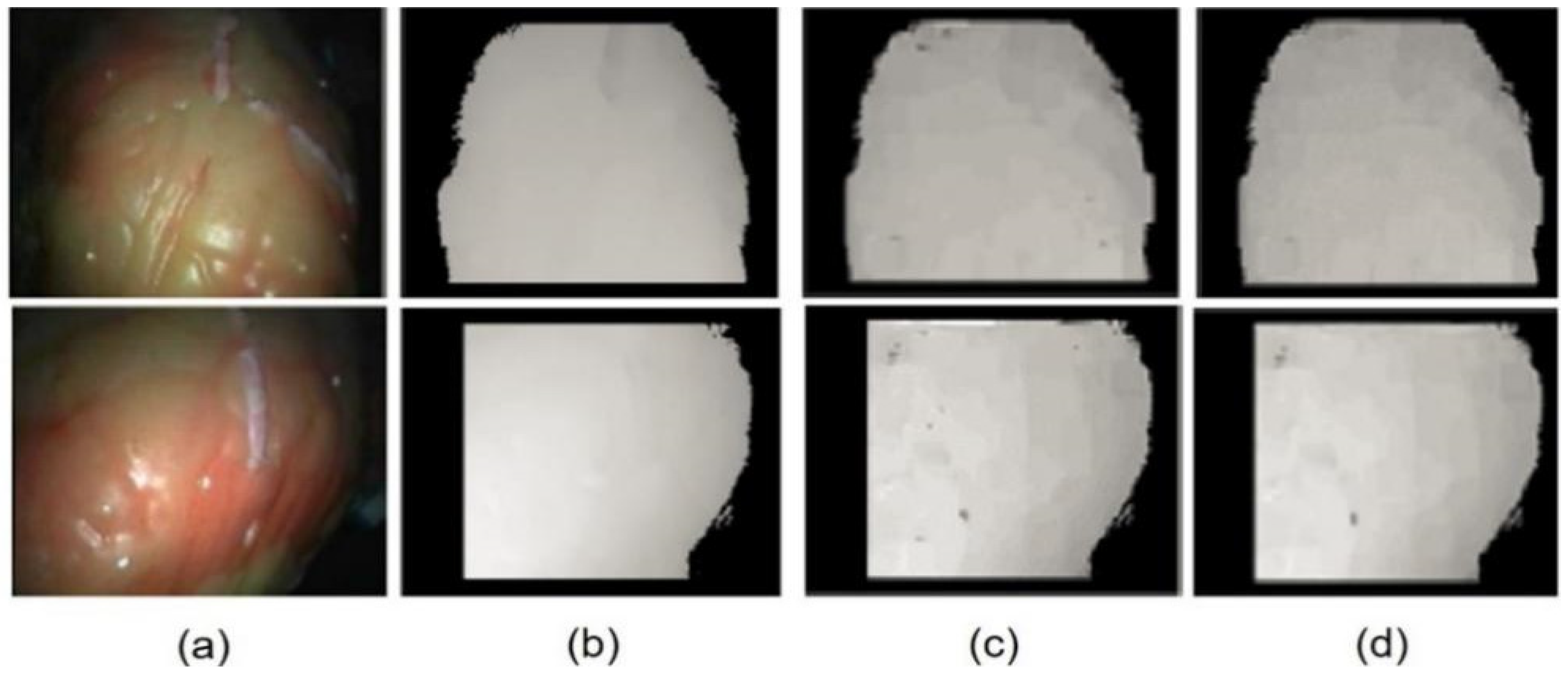 Applsci 13 00514 g006