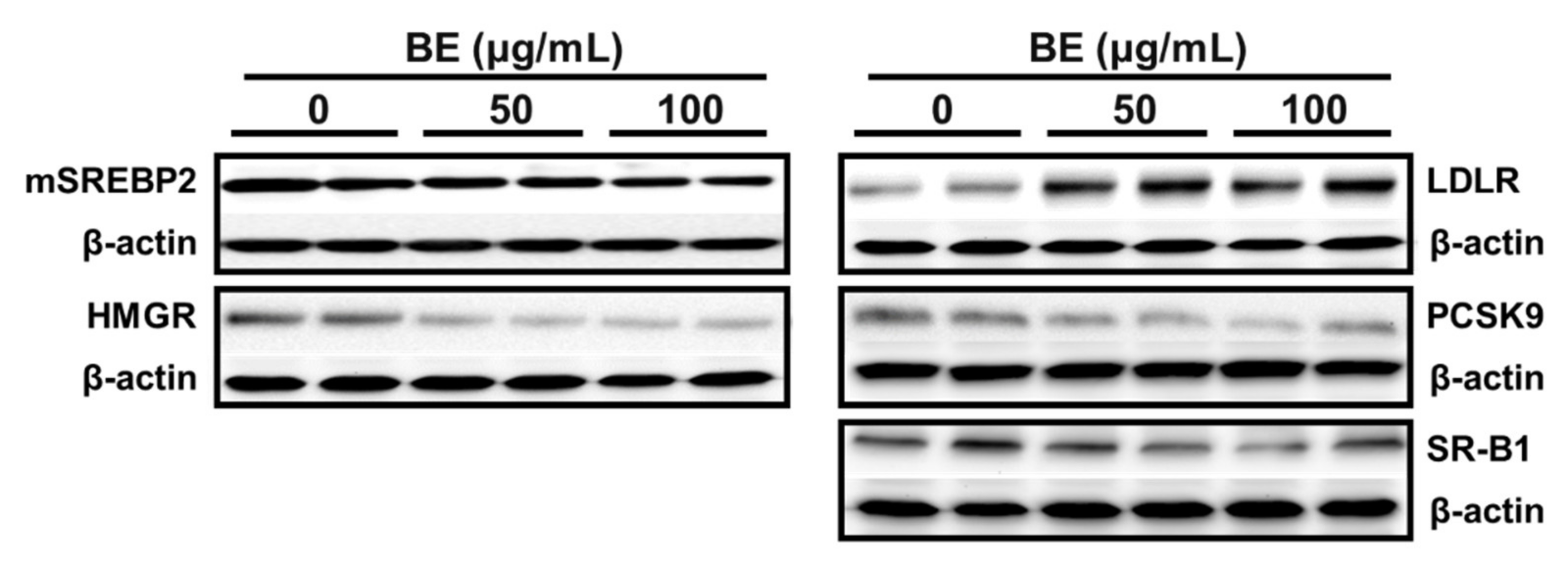 Applsci 13 00516 g003 Applsci 13 00516 g003