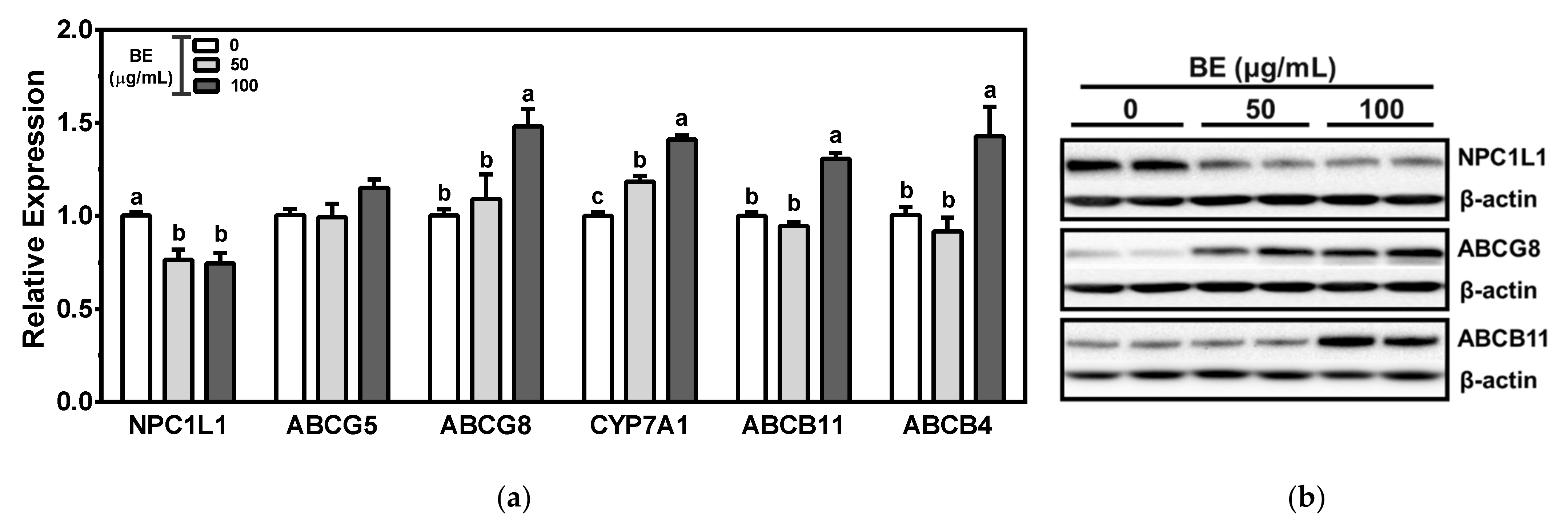 Applsci 13 00516 g004 Applsci 13 00516 g004