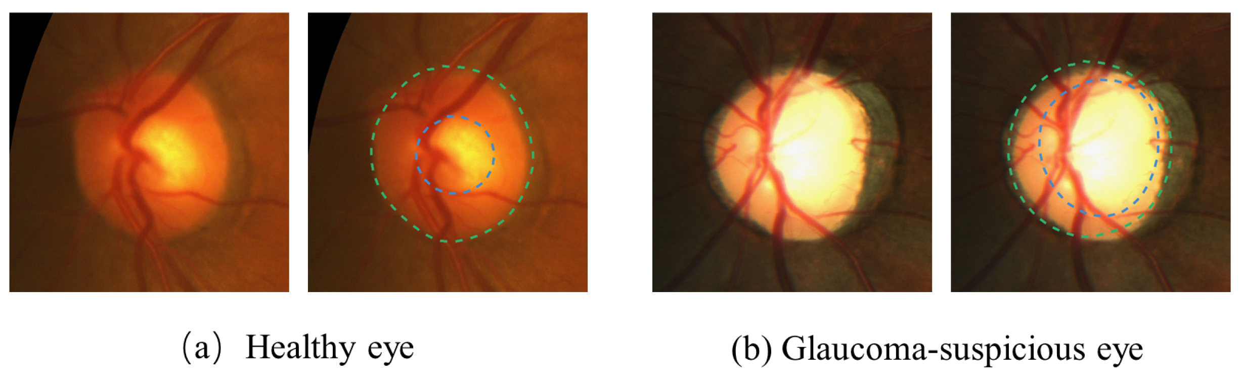 Applsci 13 00541 g001