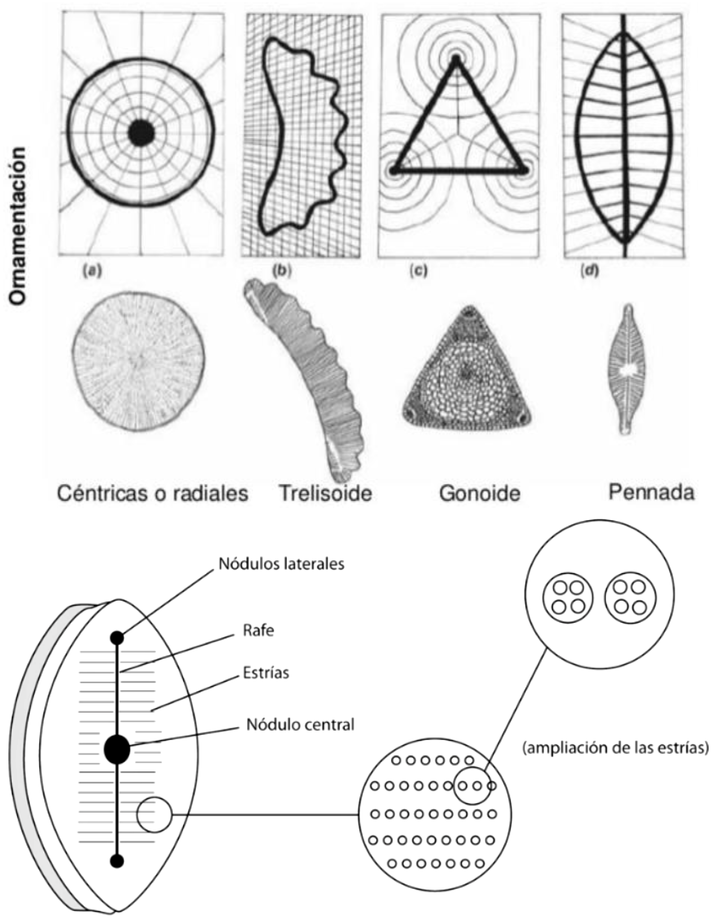 Applsci 13 00549 g002