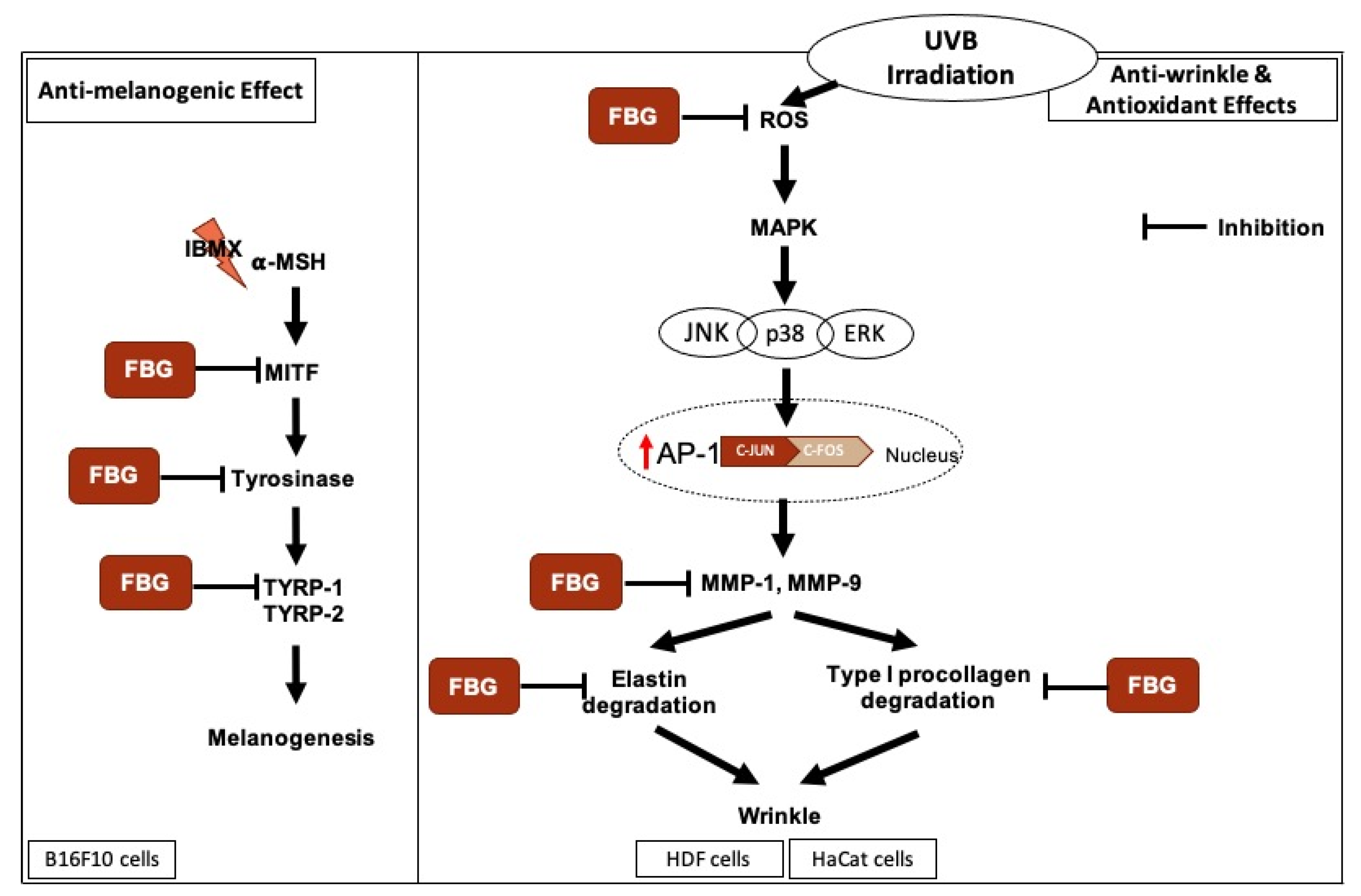 Applsci 13 00550 g006