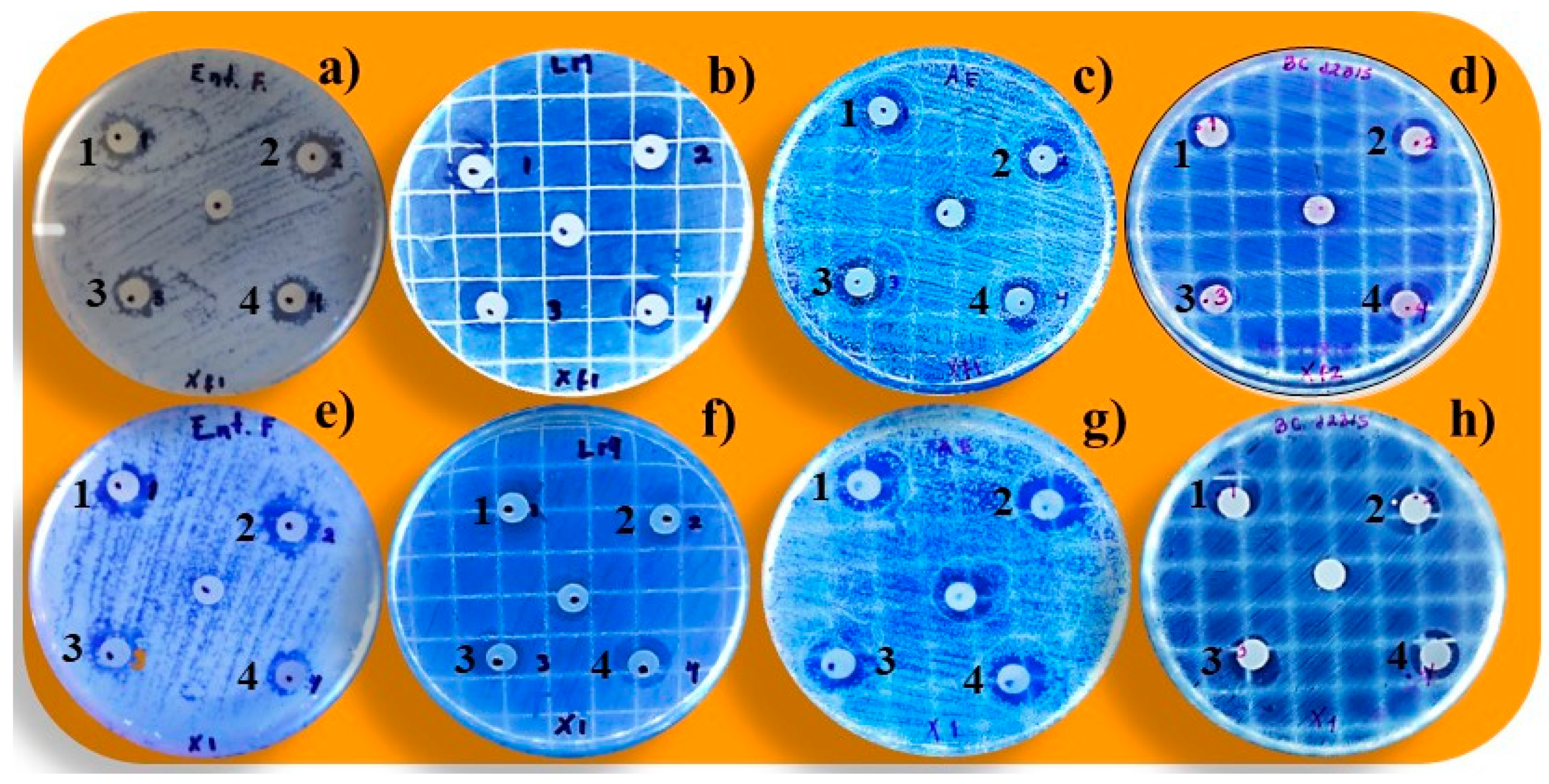 Applsci 13 00558 g001 Applsci 13 00558 g001