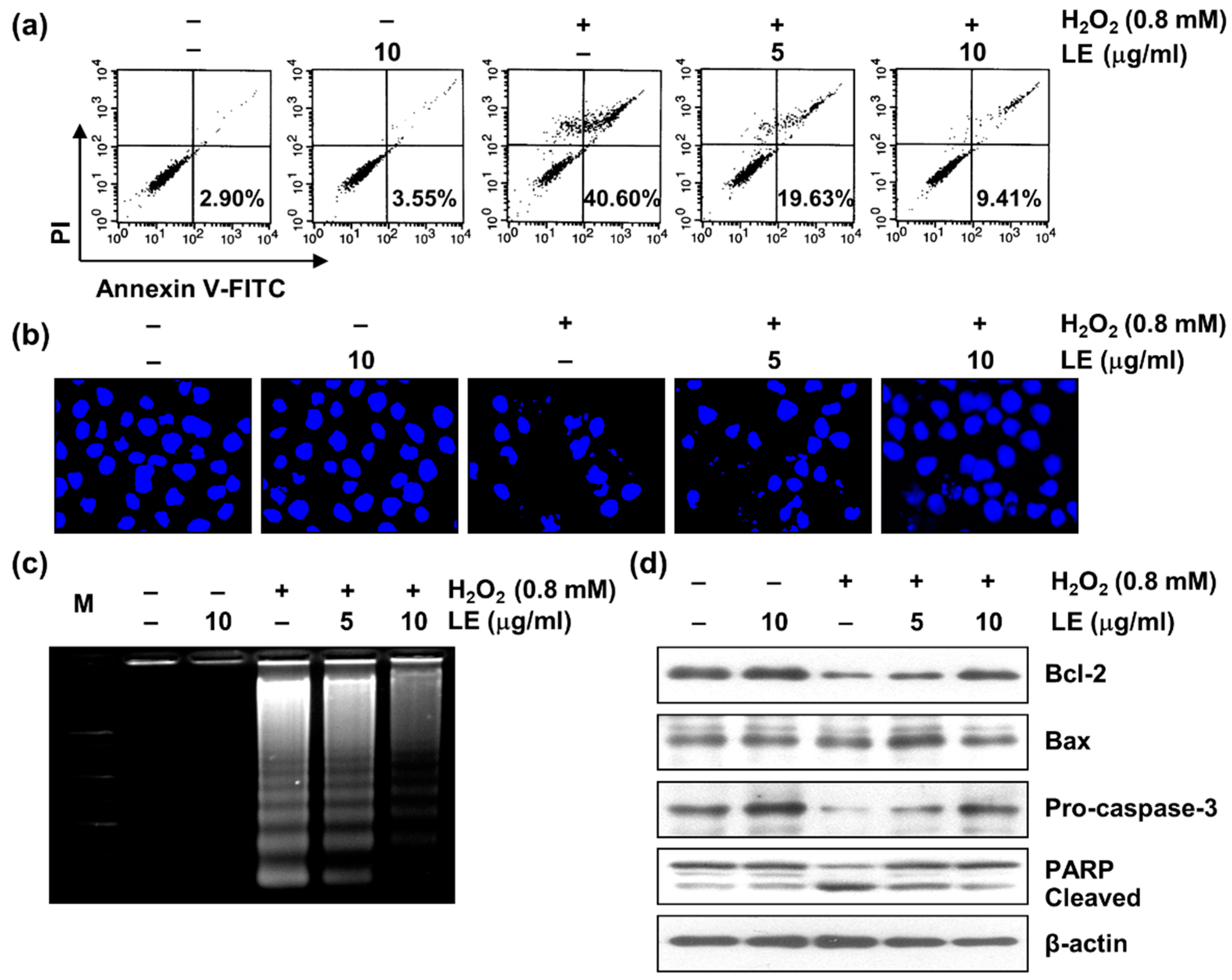 Applsci 13 00572 g003 Applsci 13 00572 g003