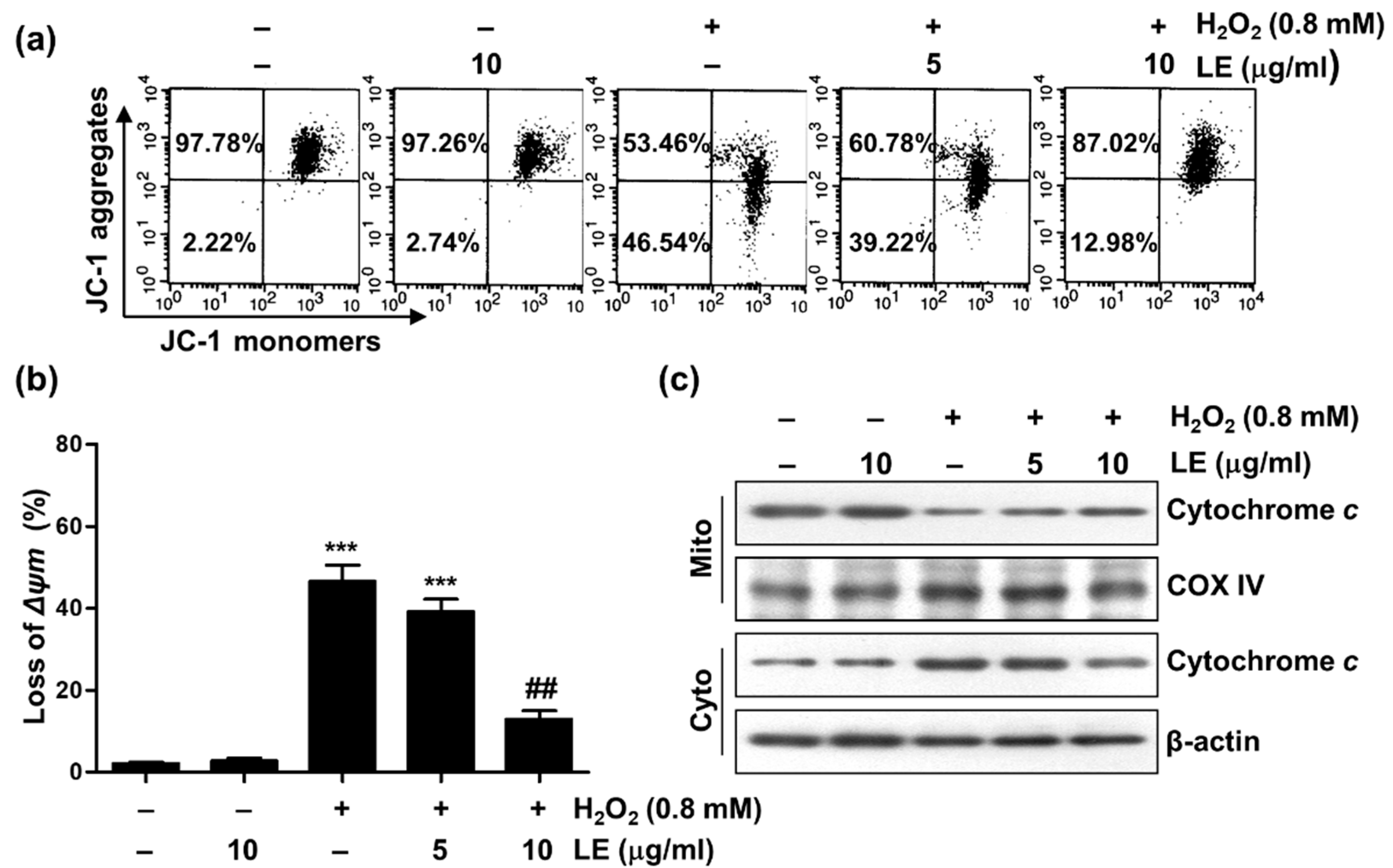 Applsci 13 00572 g004 Applsci 13 00572 g004