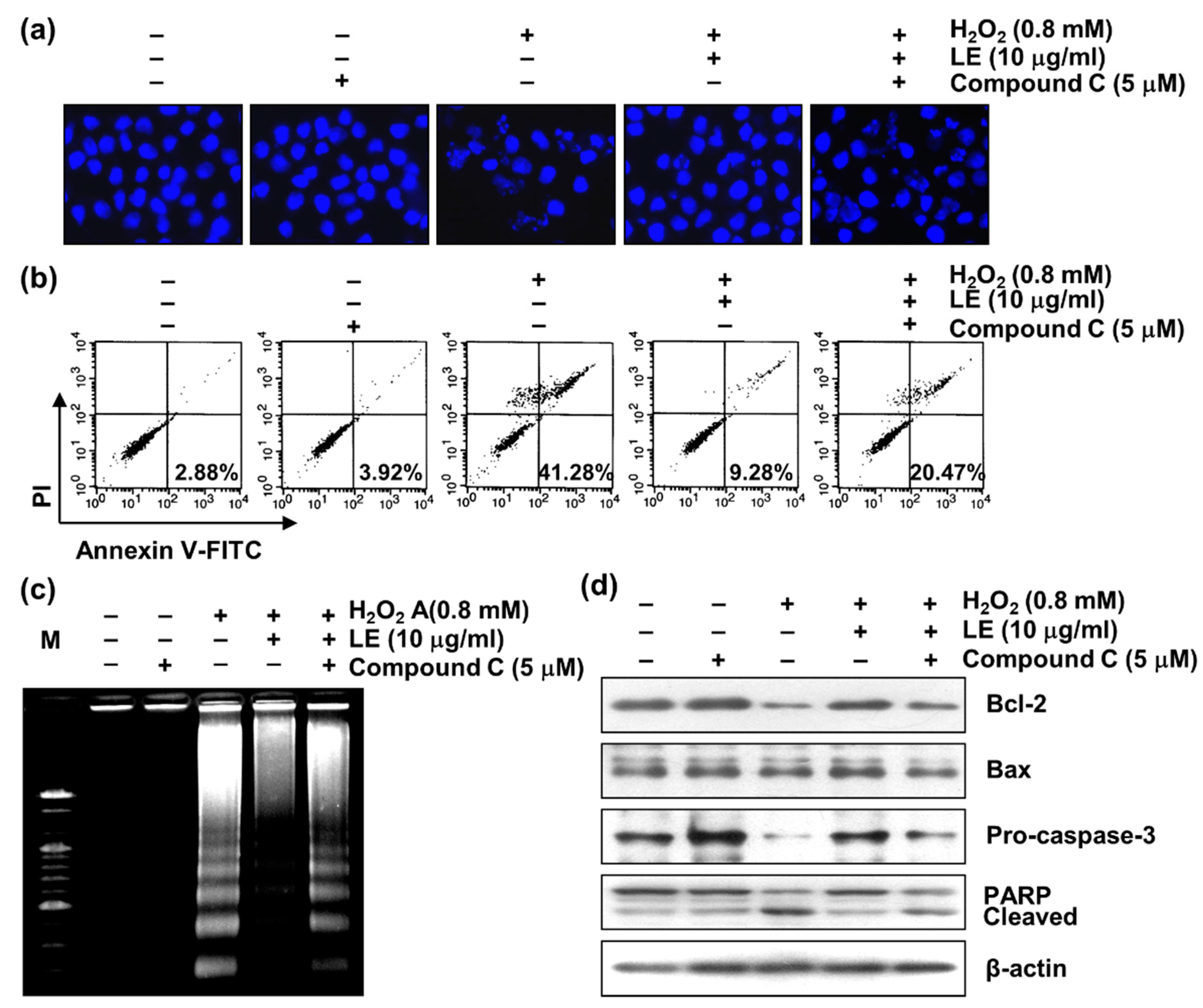Applsci 13 00572 g008 Applsci 13 00572 g008