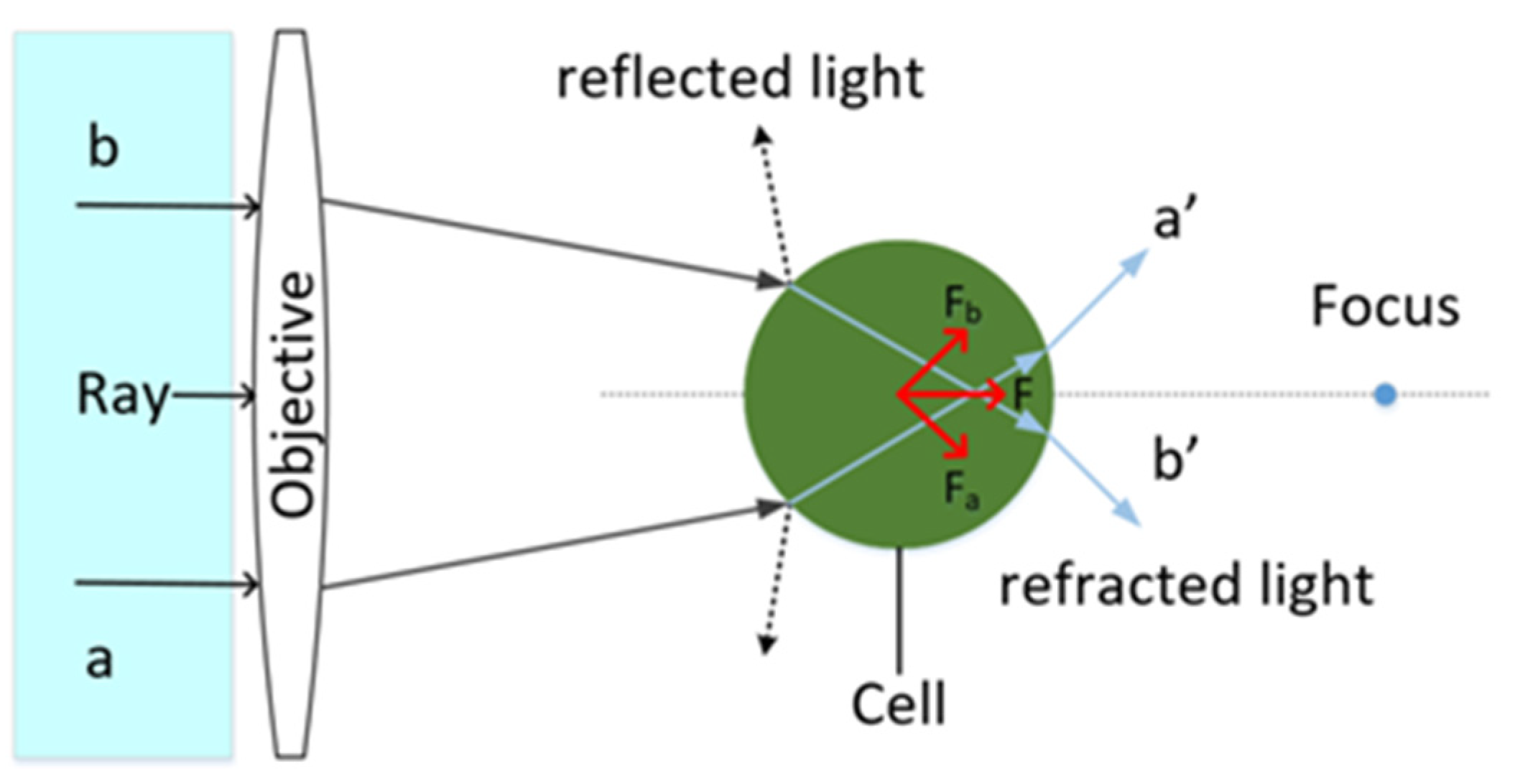 Applsci 13 00579 g001 Applsci 13 00579 g001