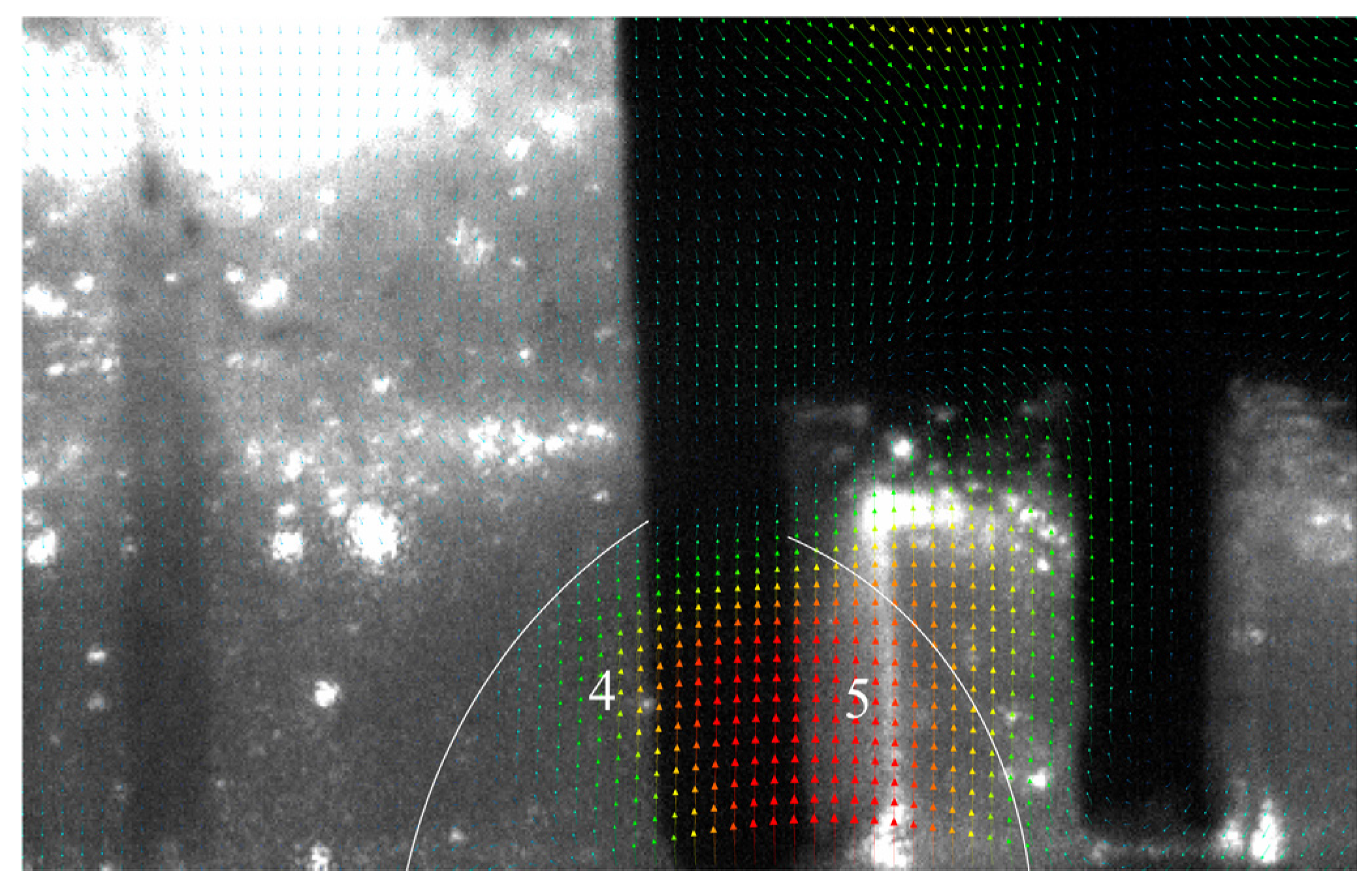 Applsci 13 00590 g013 Applsci 13 00590 g013