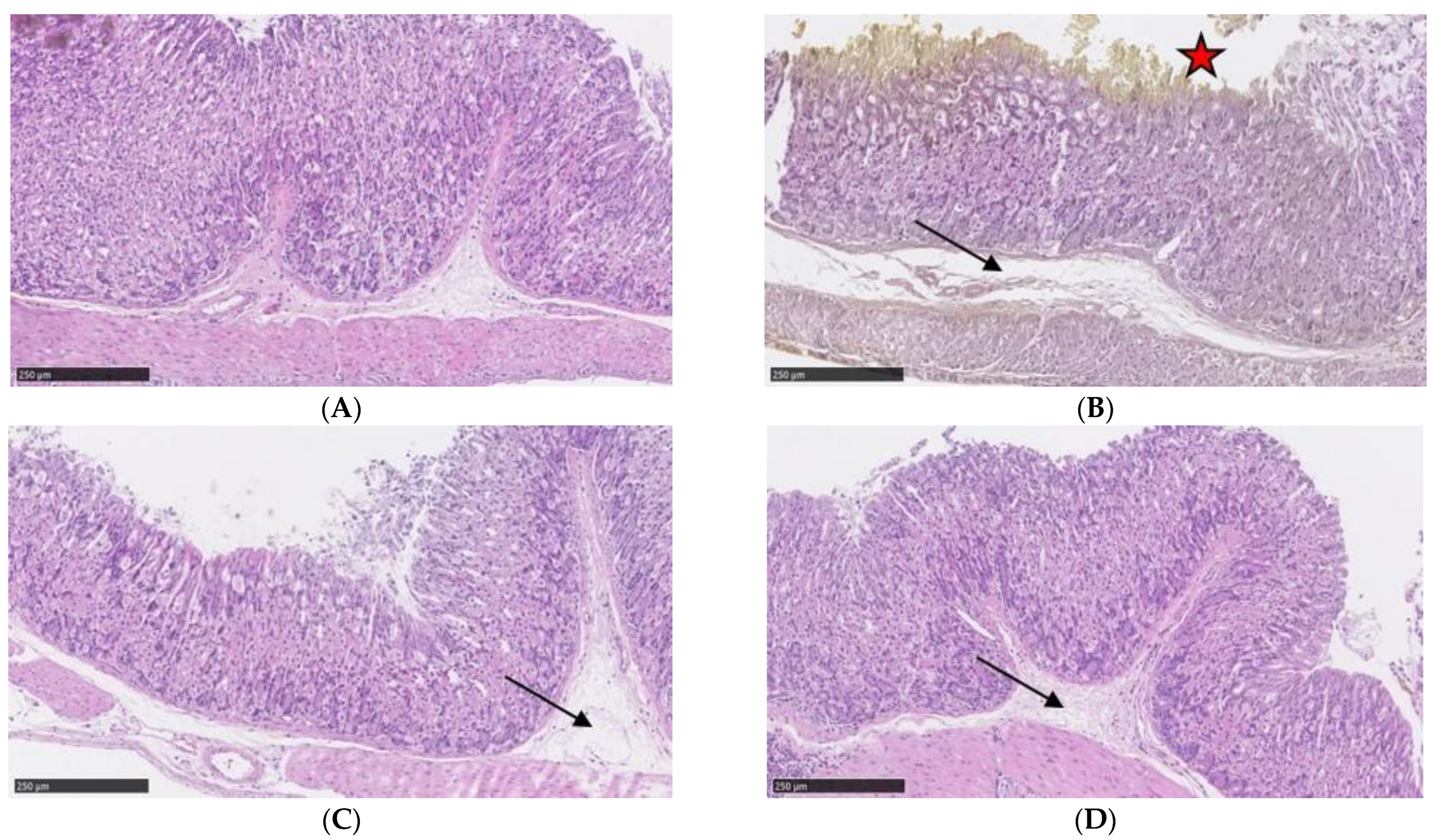 Applsci 13 00594 g002