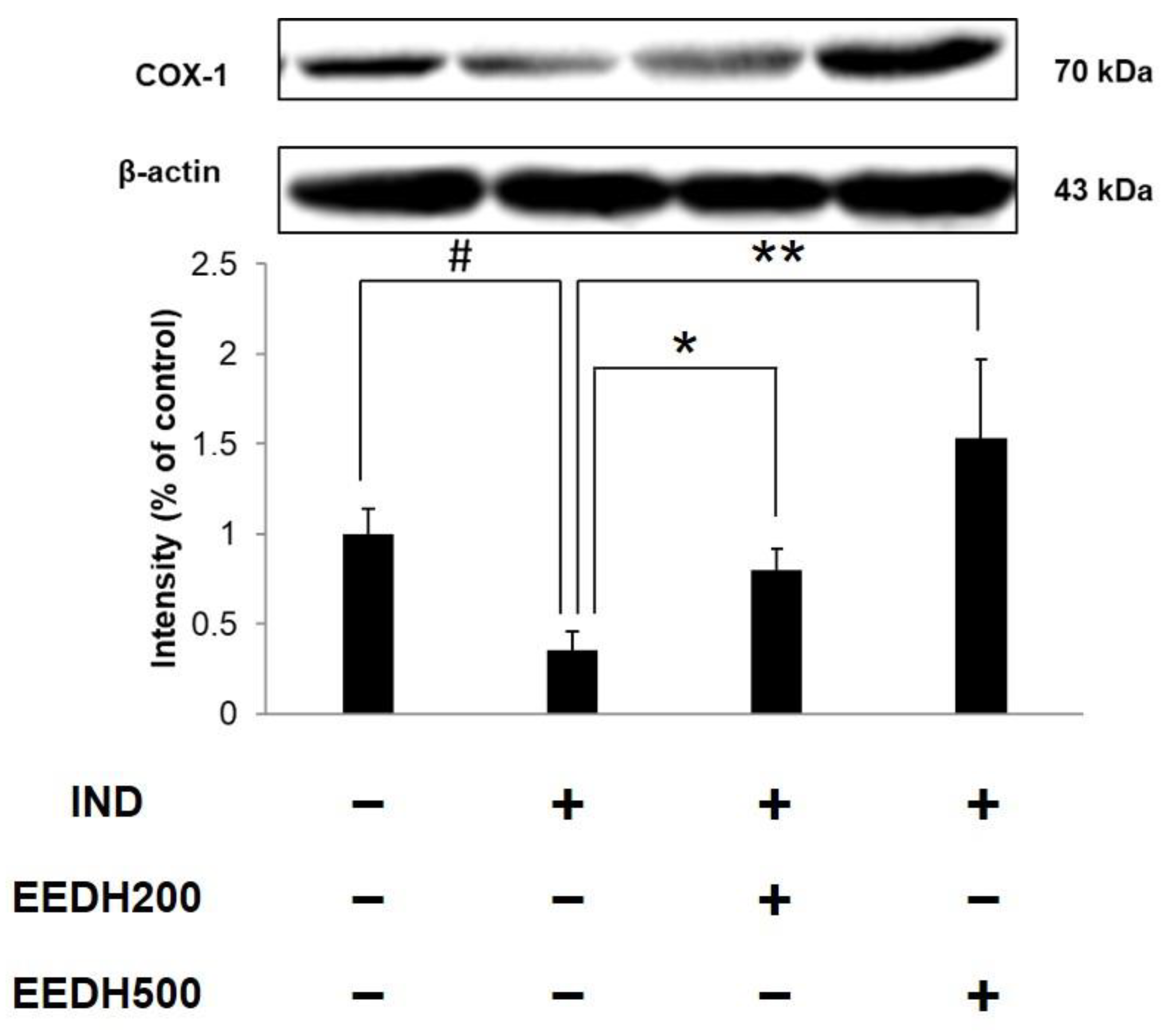 Applsci 13 00594 g004