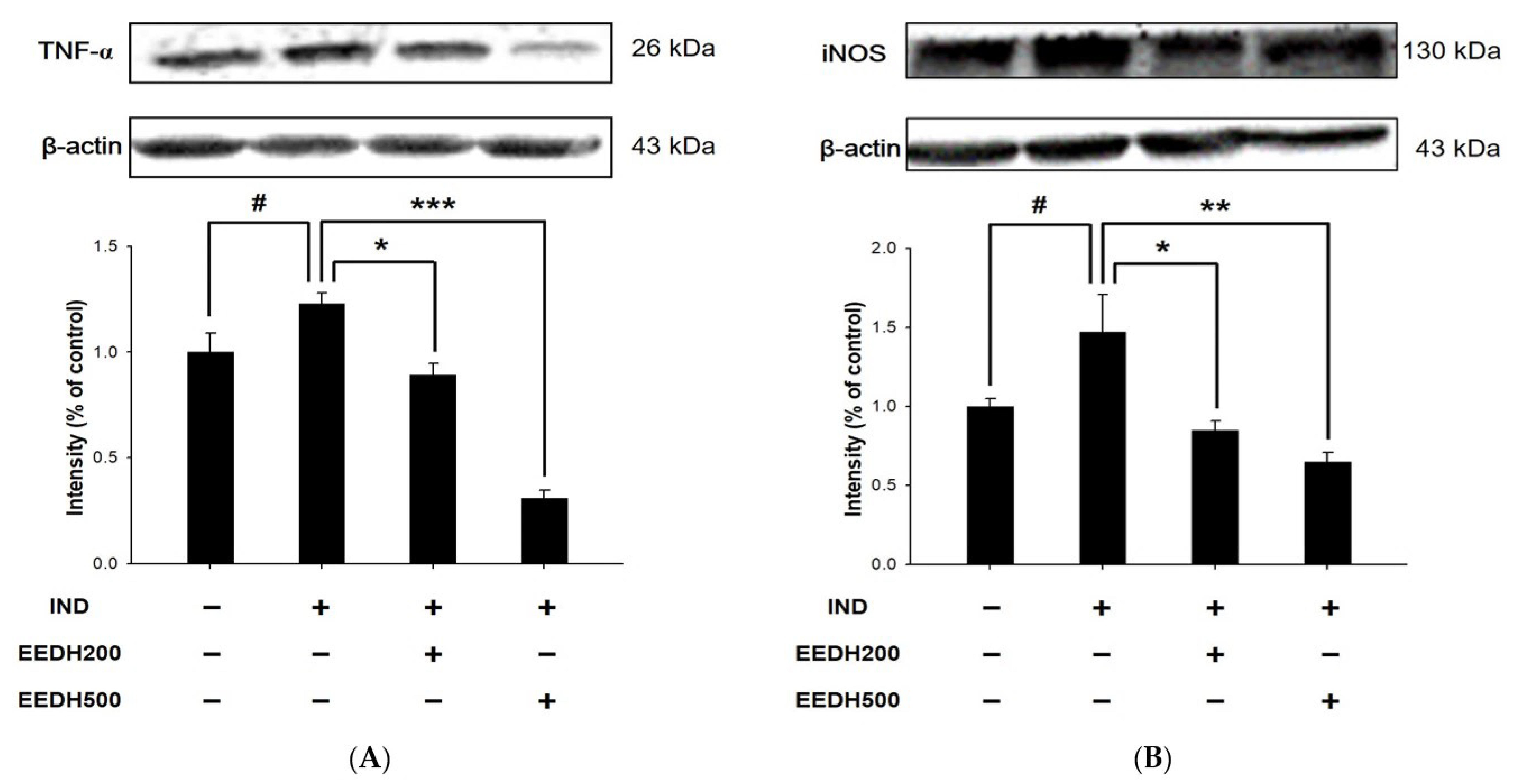 Applsci 13 00594 g005
