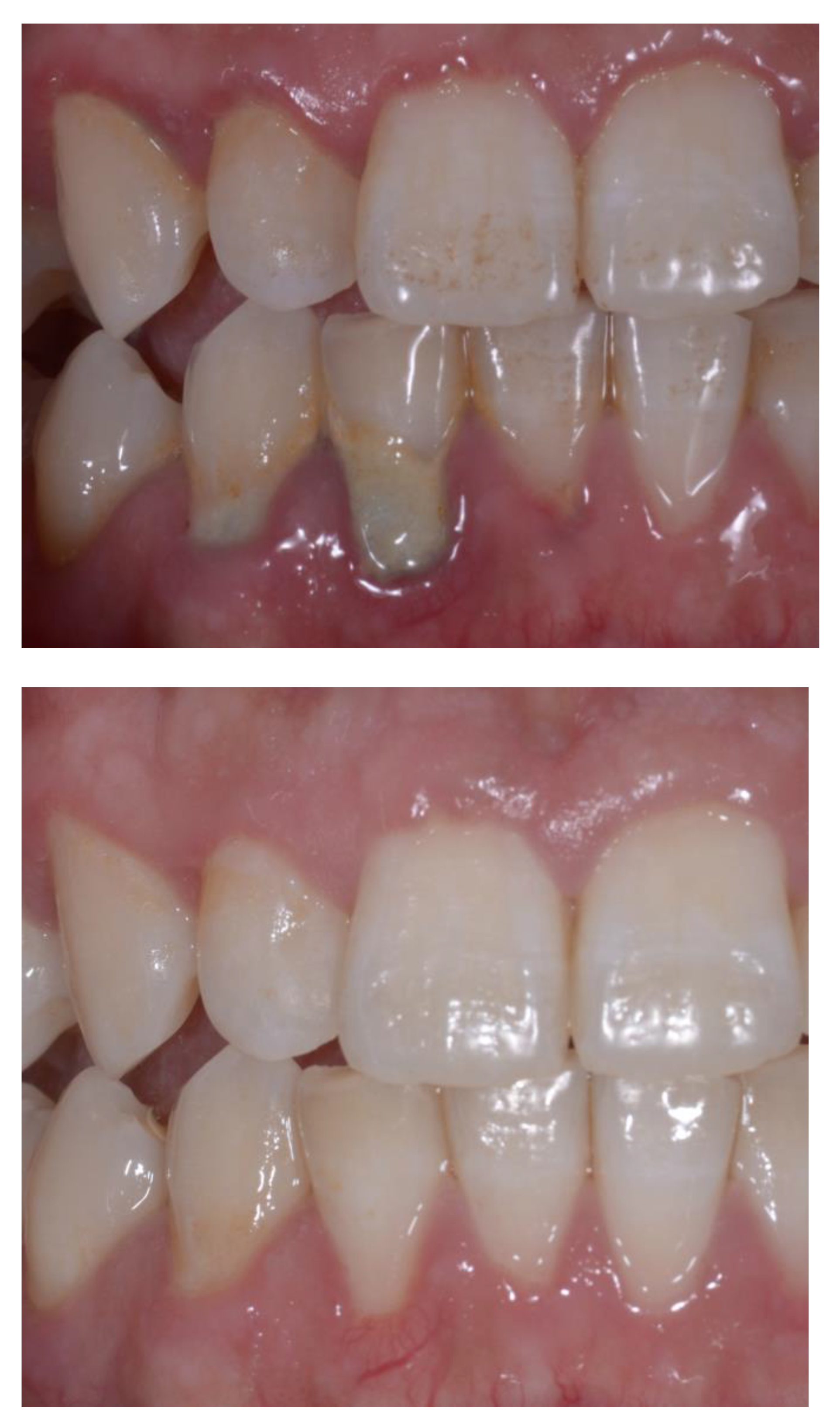 Applsci 13 00663 g002