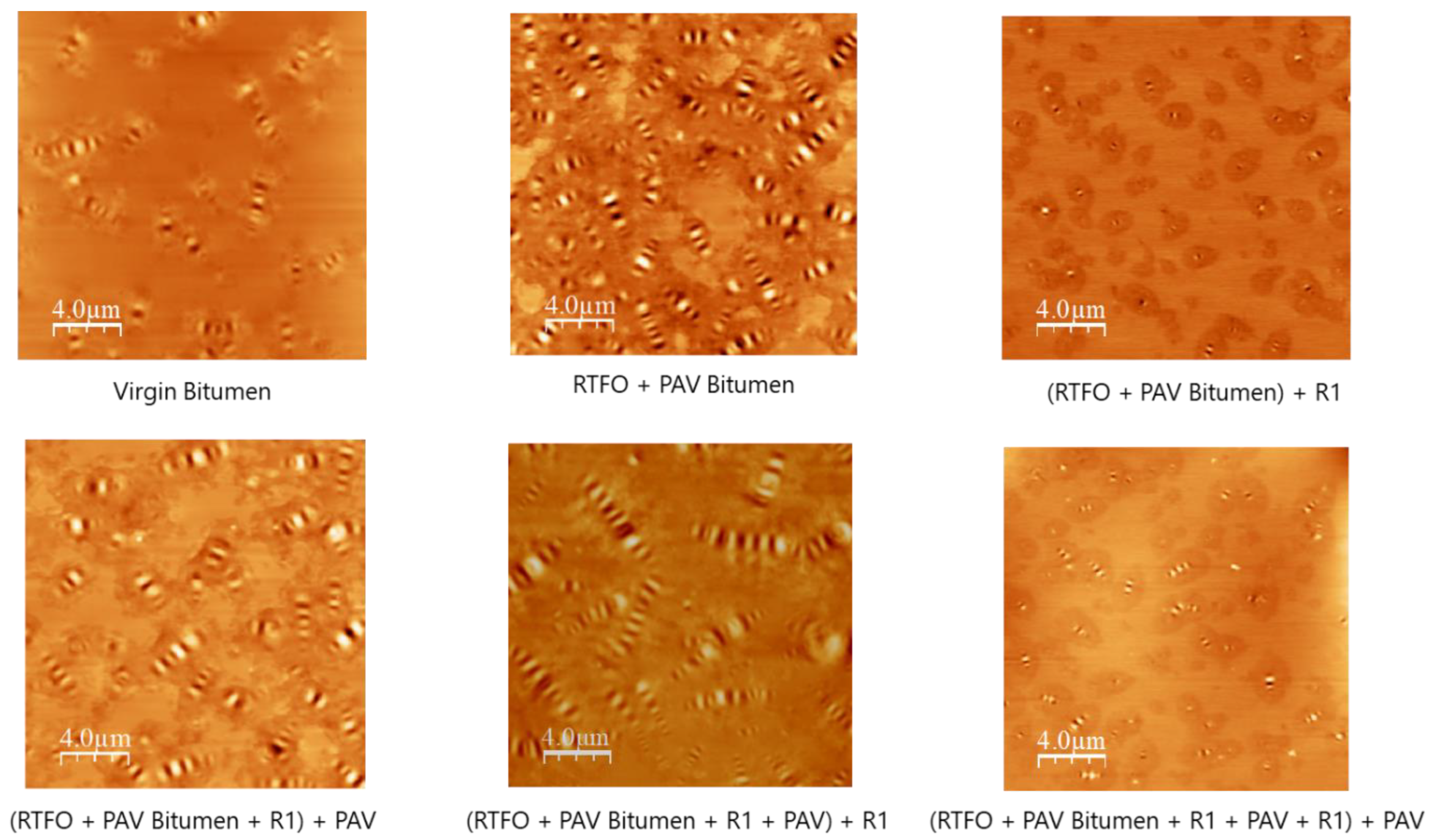 Applsci 13 00698 g003 Applsci 13 00698 g003