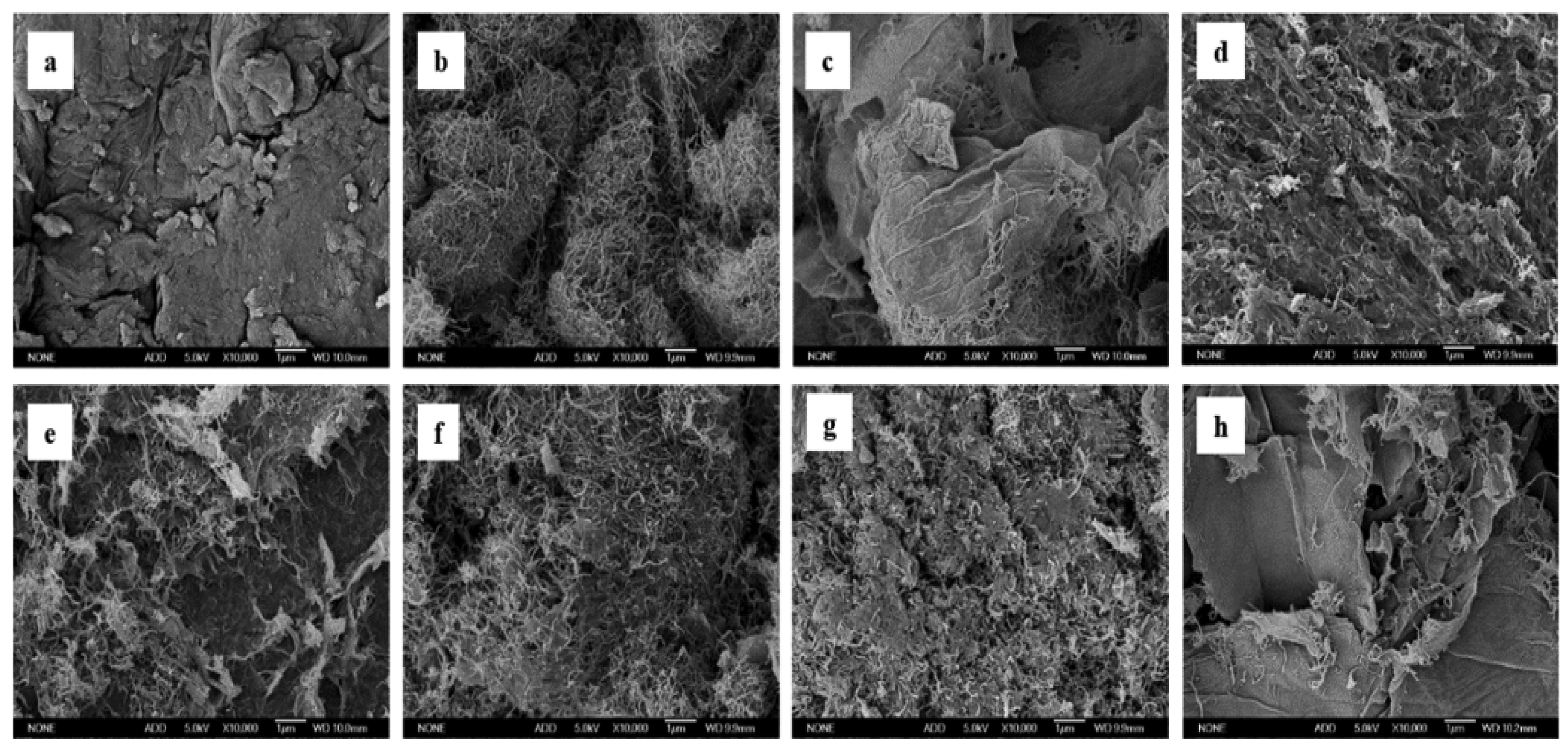 Applsci 13 00772 g004 Applsci 13 00772 g004