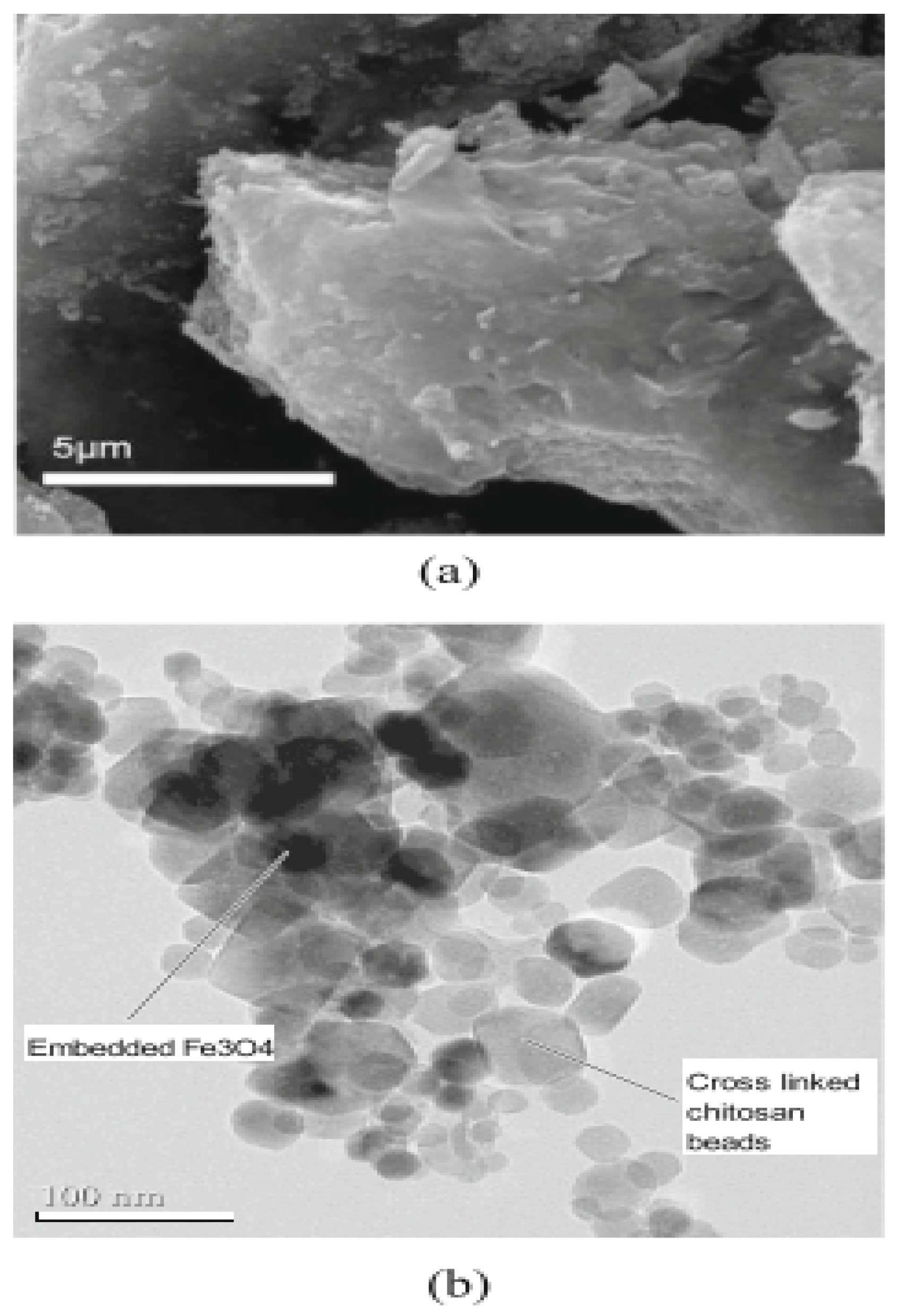 Applsci 13 00772 g006 Applsci 13 00772 g006