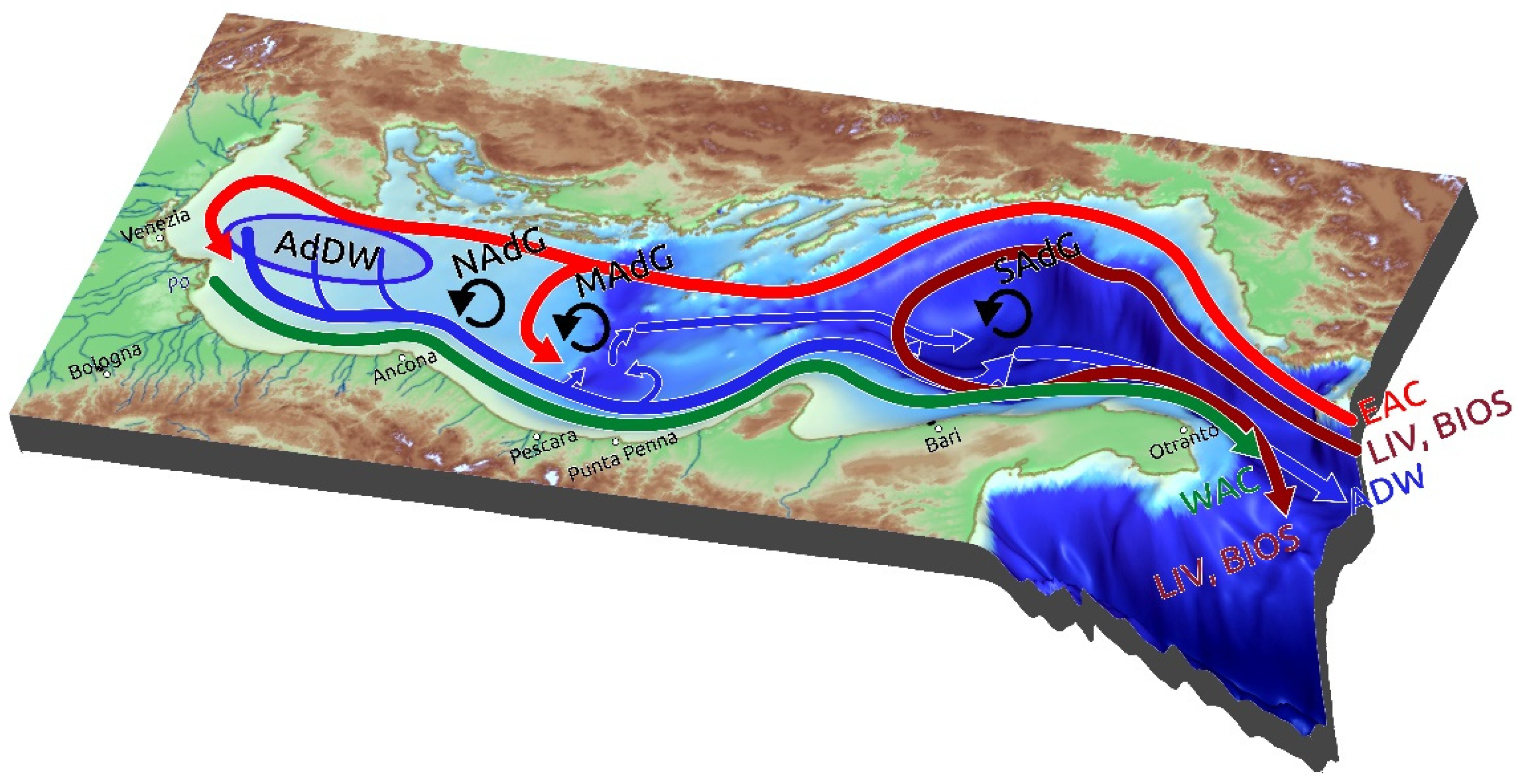 Applsci 13 00794 g001