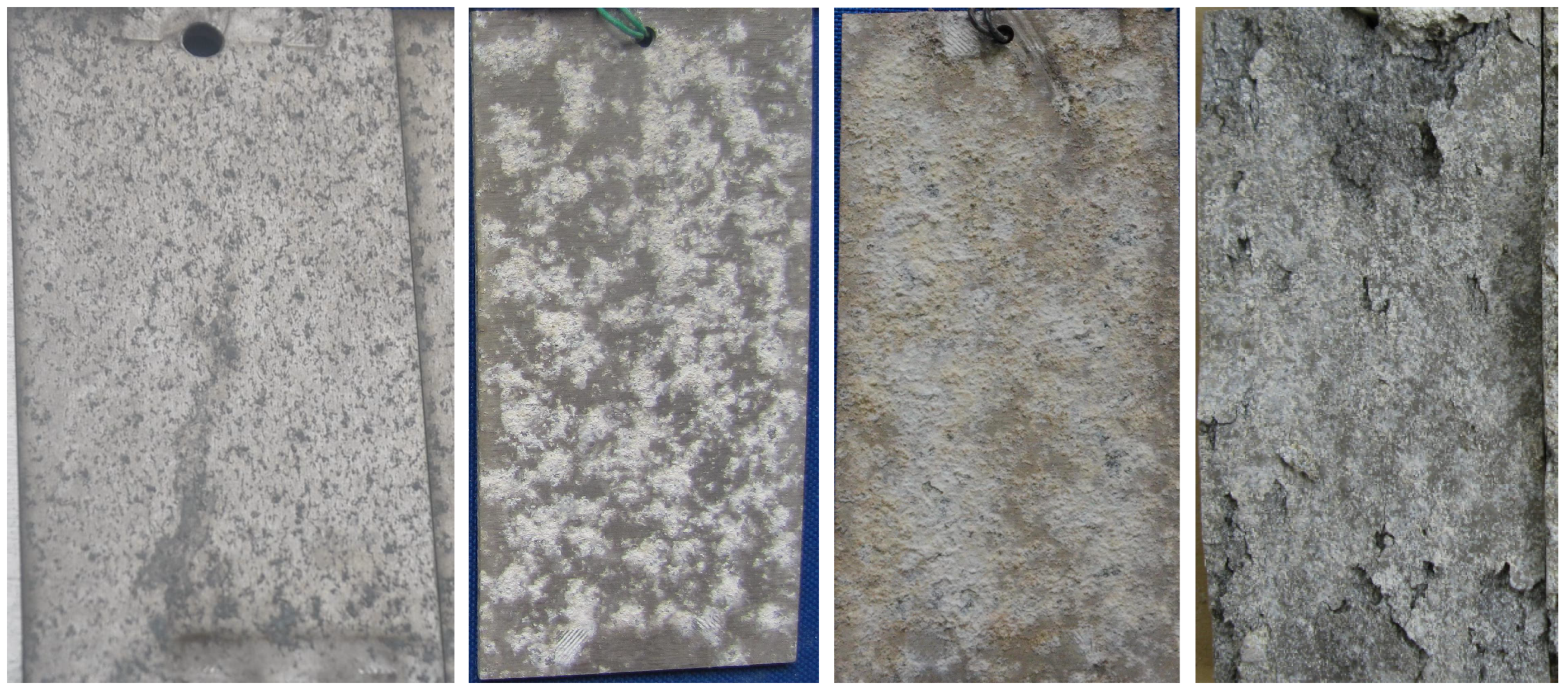 Applsci 13 00826 g006