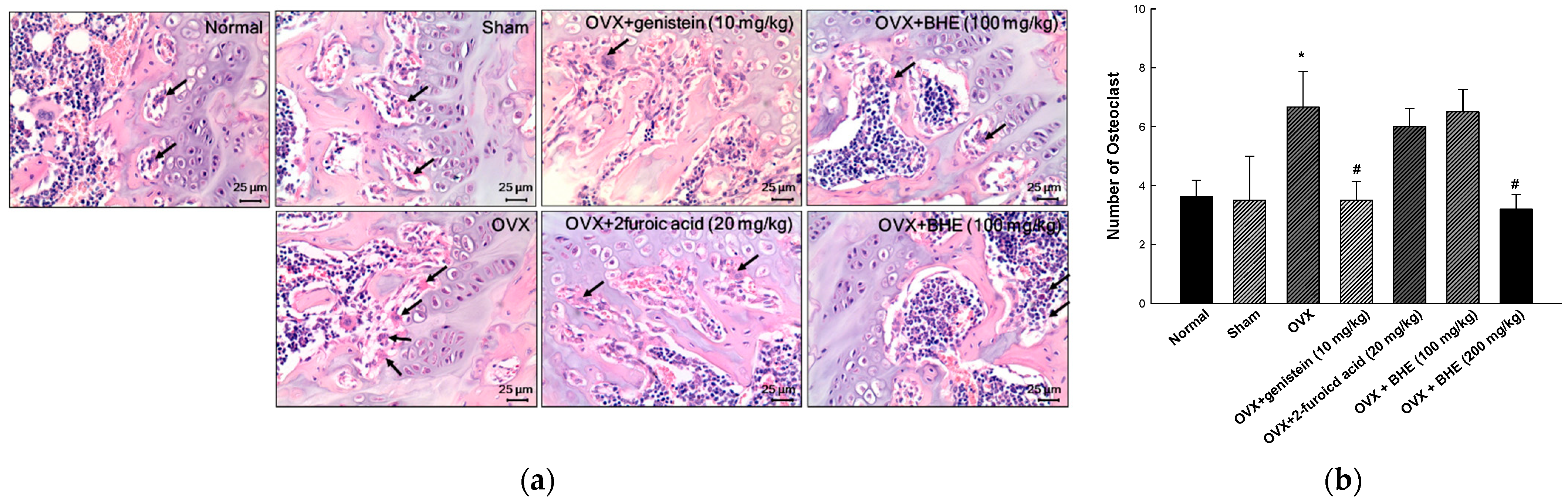 Applsci 13 00832 g002 Applsci 13 00832 g002