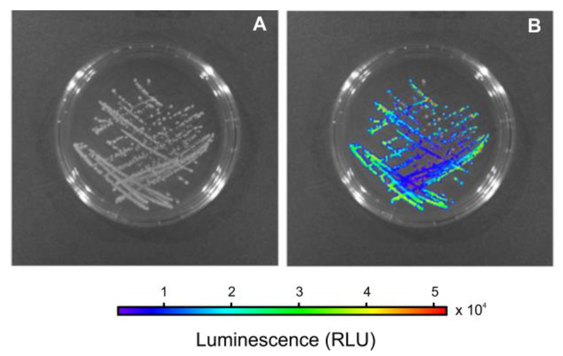 Applsci 13 00836 g002 Applsci 13 00836 g002