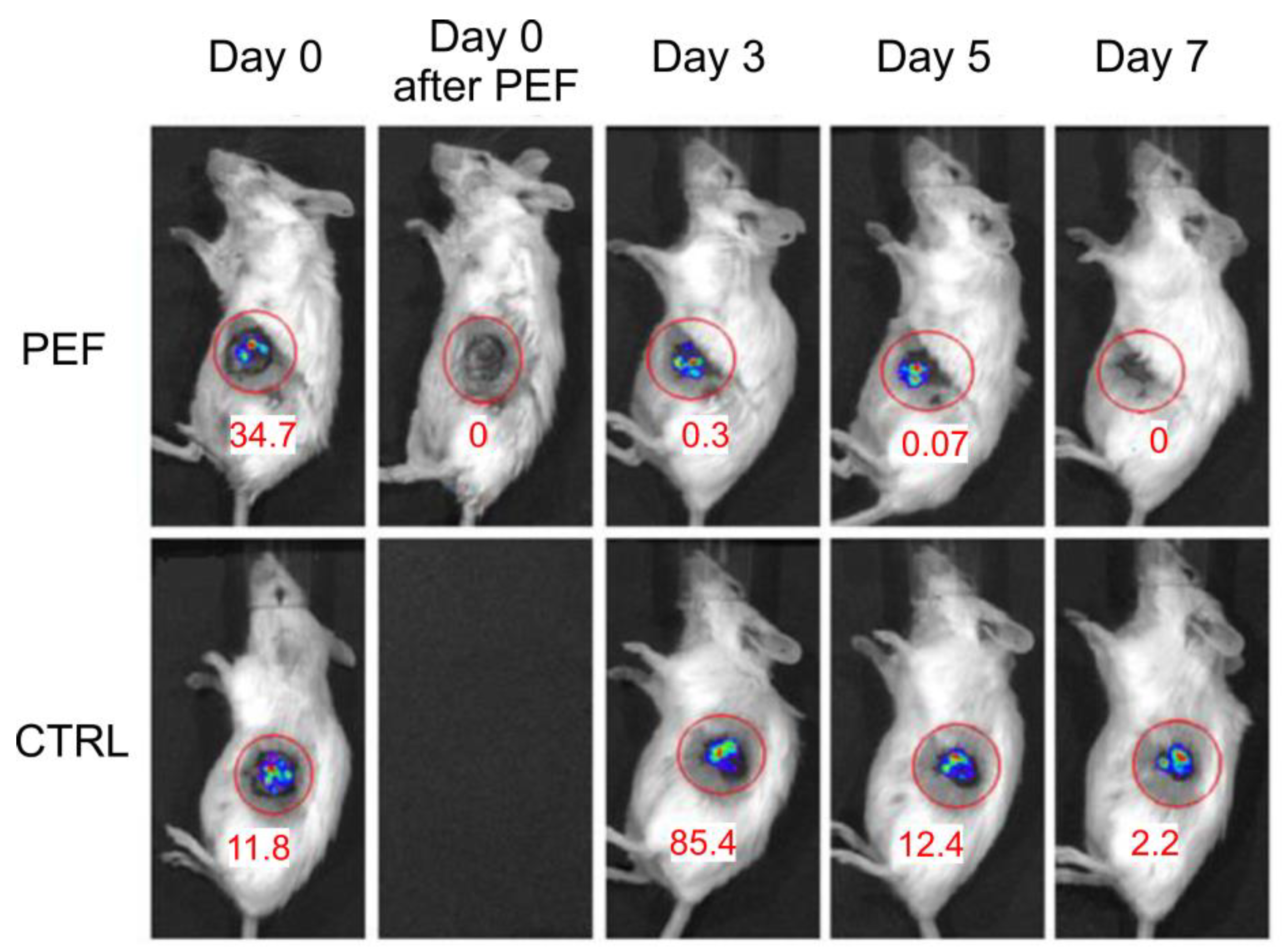 Applsci 13 00836 g005 Applsci 13 00836 g005
