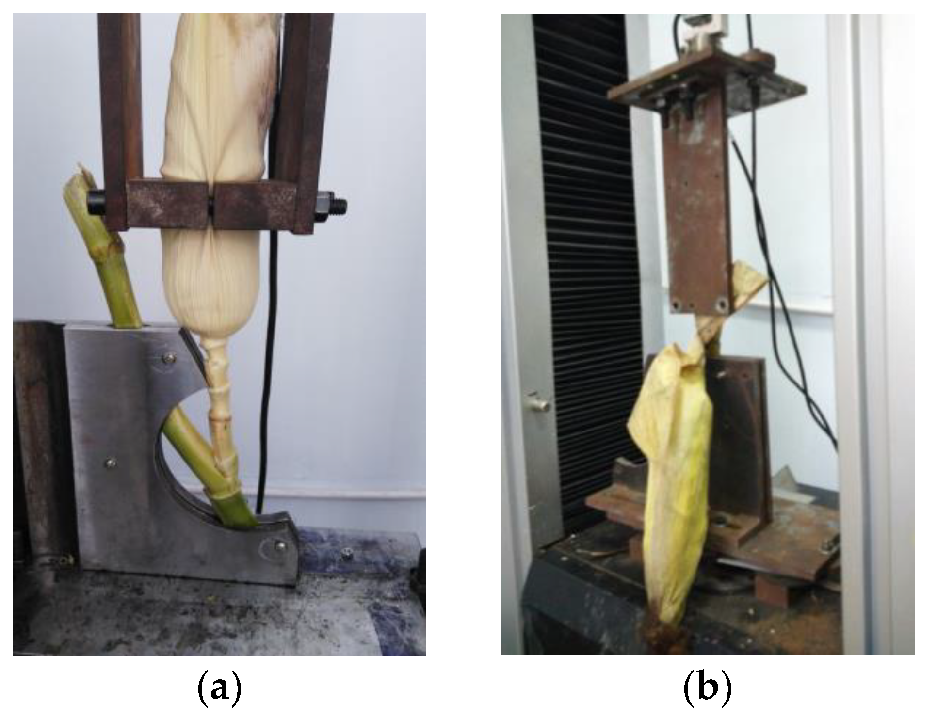 Applsci 13 00838 g003