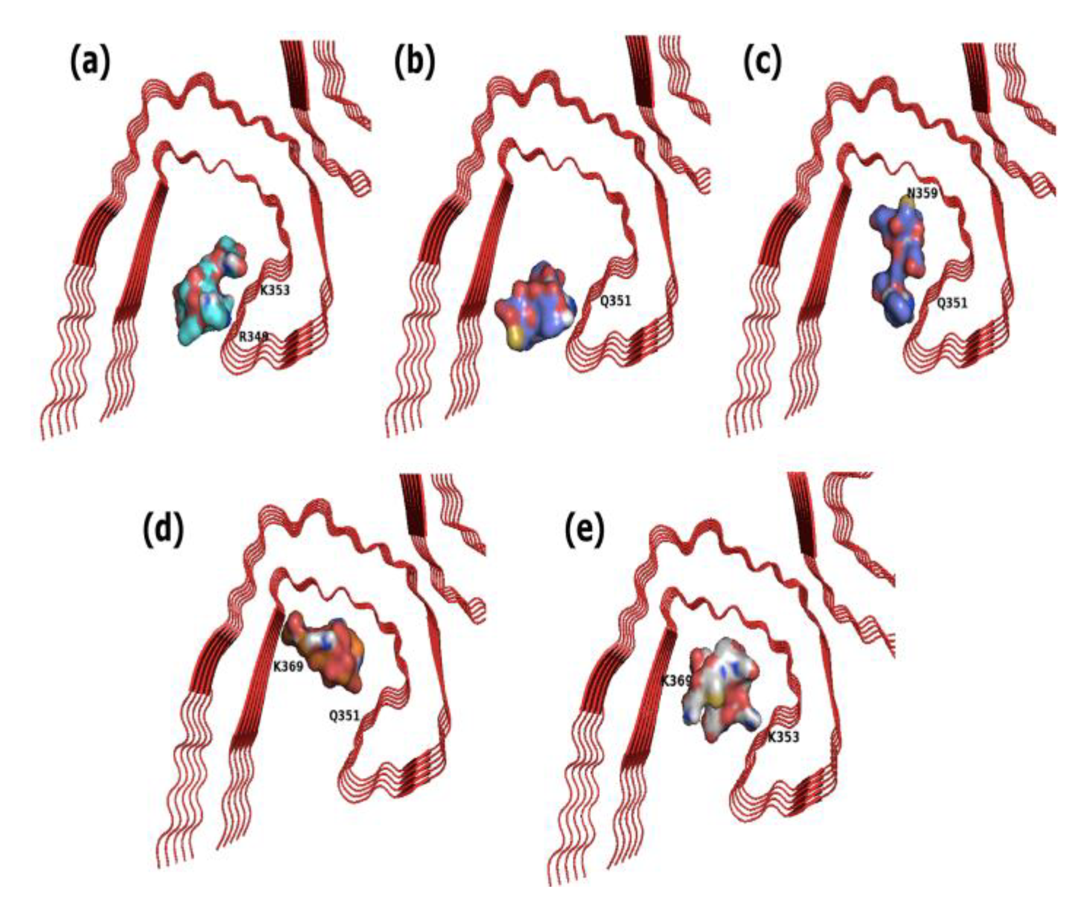 Applsci 13 00853 g004 Applsci 13 00853 g004
