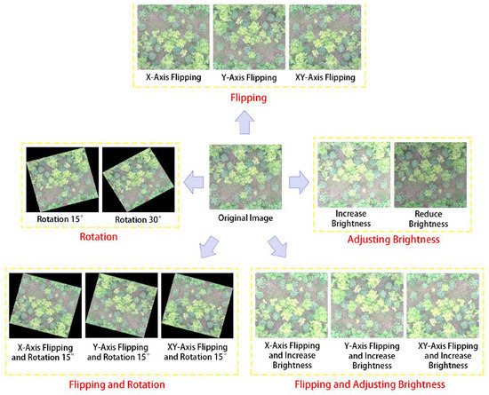 Tree Seedlings Detection and Counting Using a Deep Learning Algorithm