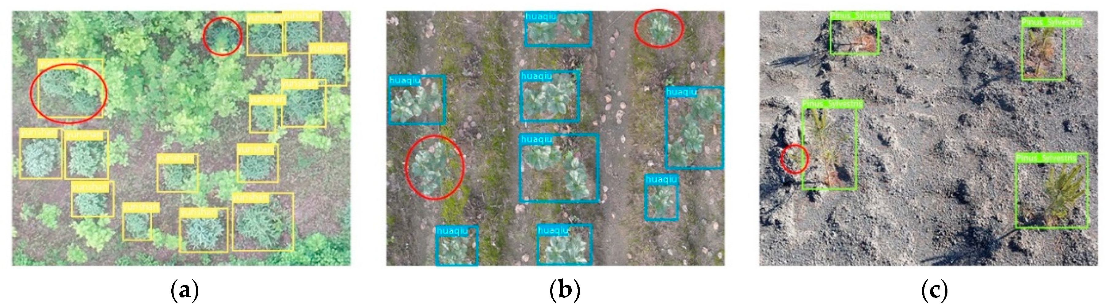 Applsci 13 00895 g010