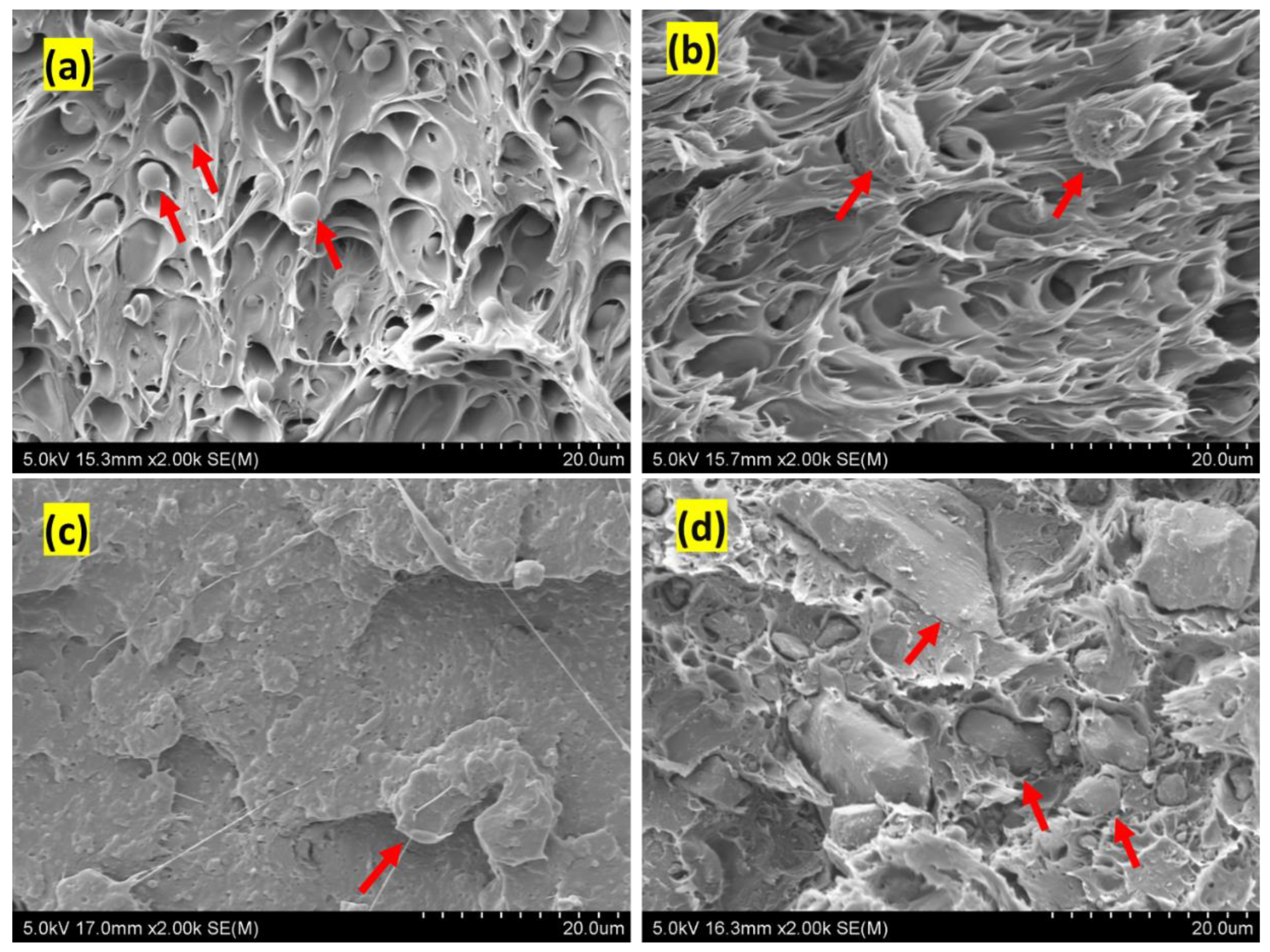 Applsci 13 00902 g007 Applsci 13 00902 g007