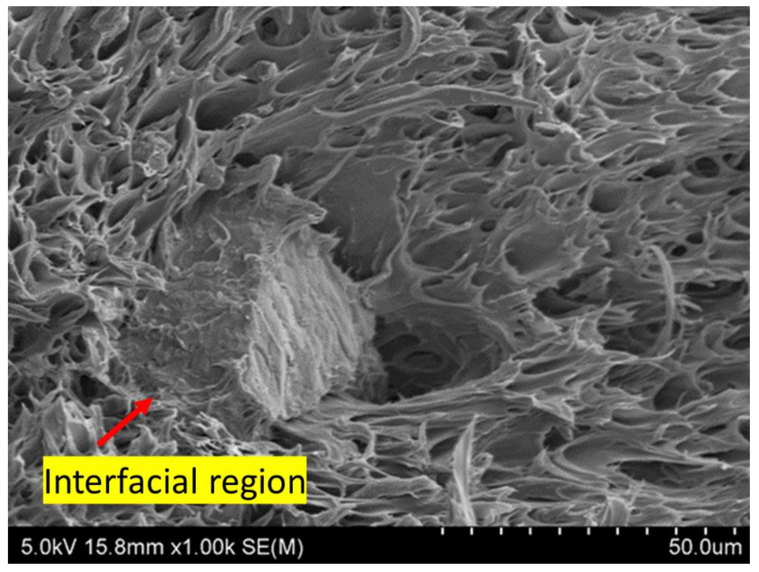 Applsci 13 00902 g008 Applsci 13 00902 g008