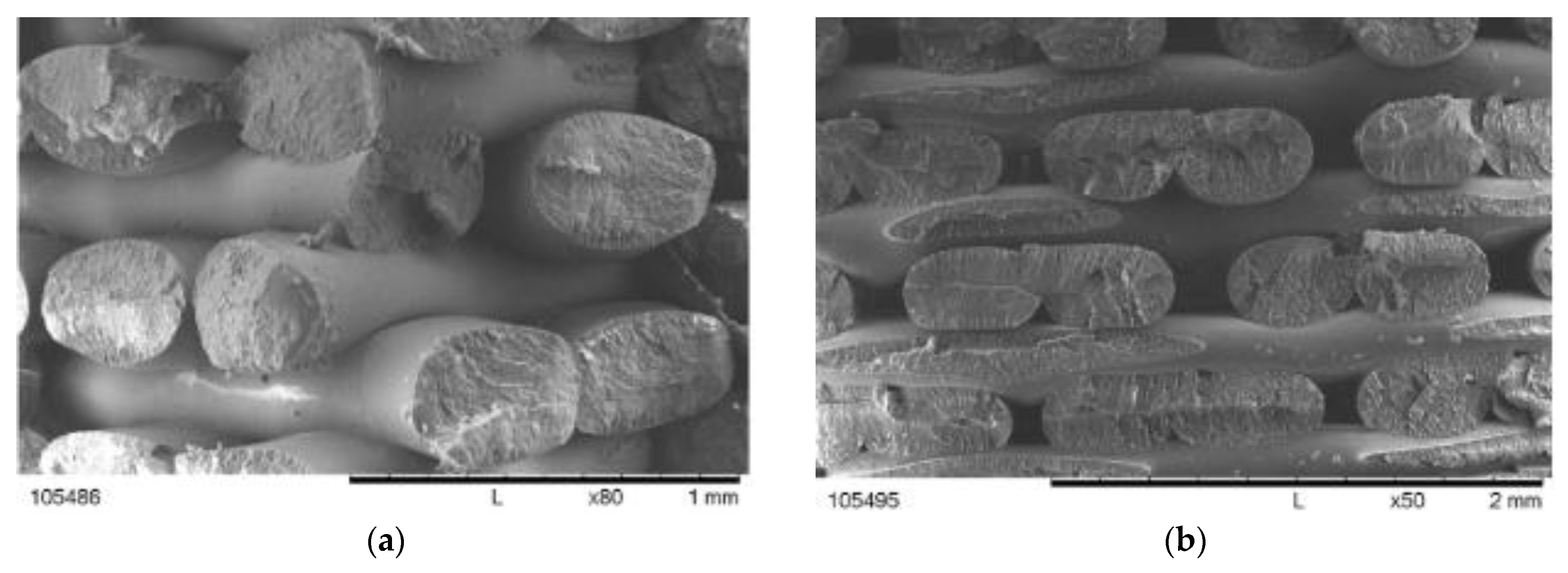 Applsci 13 00904 g010